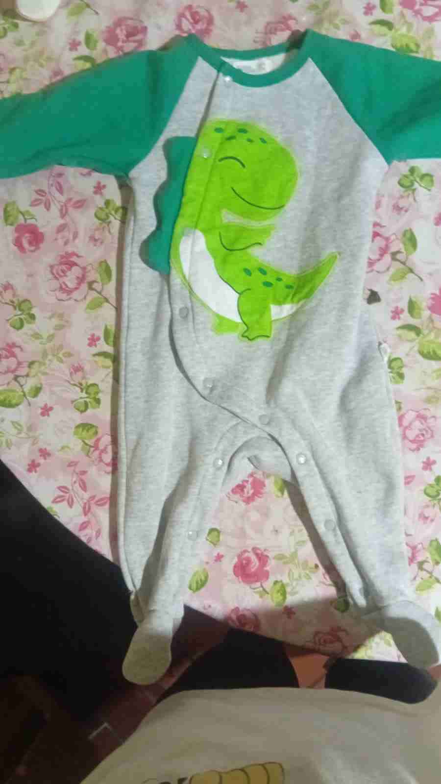 Enterito bebé con dinosaurio