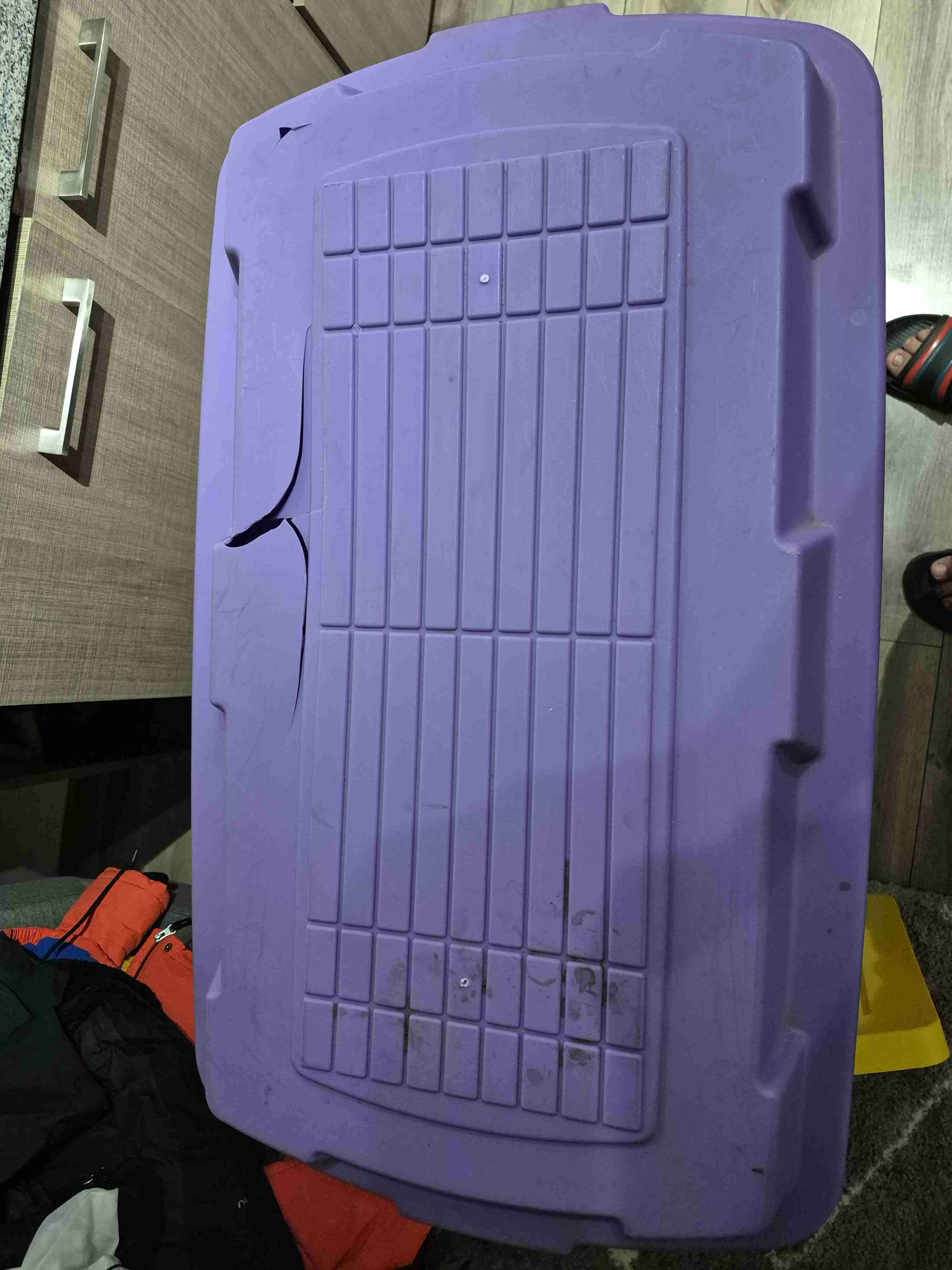 Contenedor plástico morado - 2