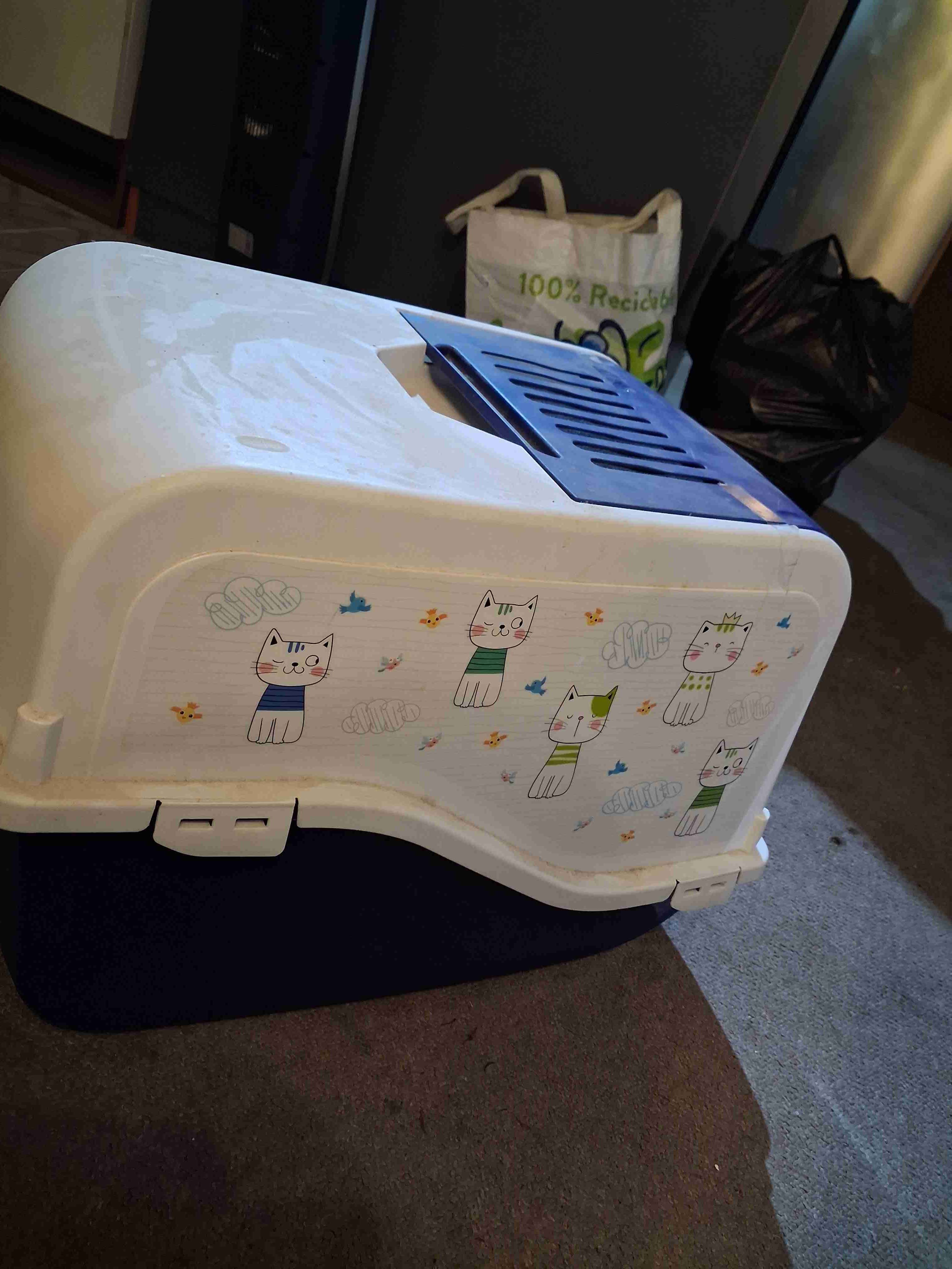 Areneto gatos - miniatura 2