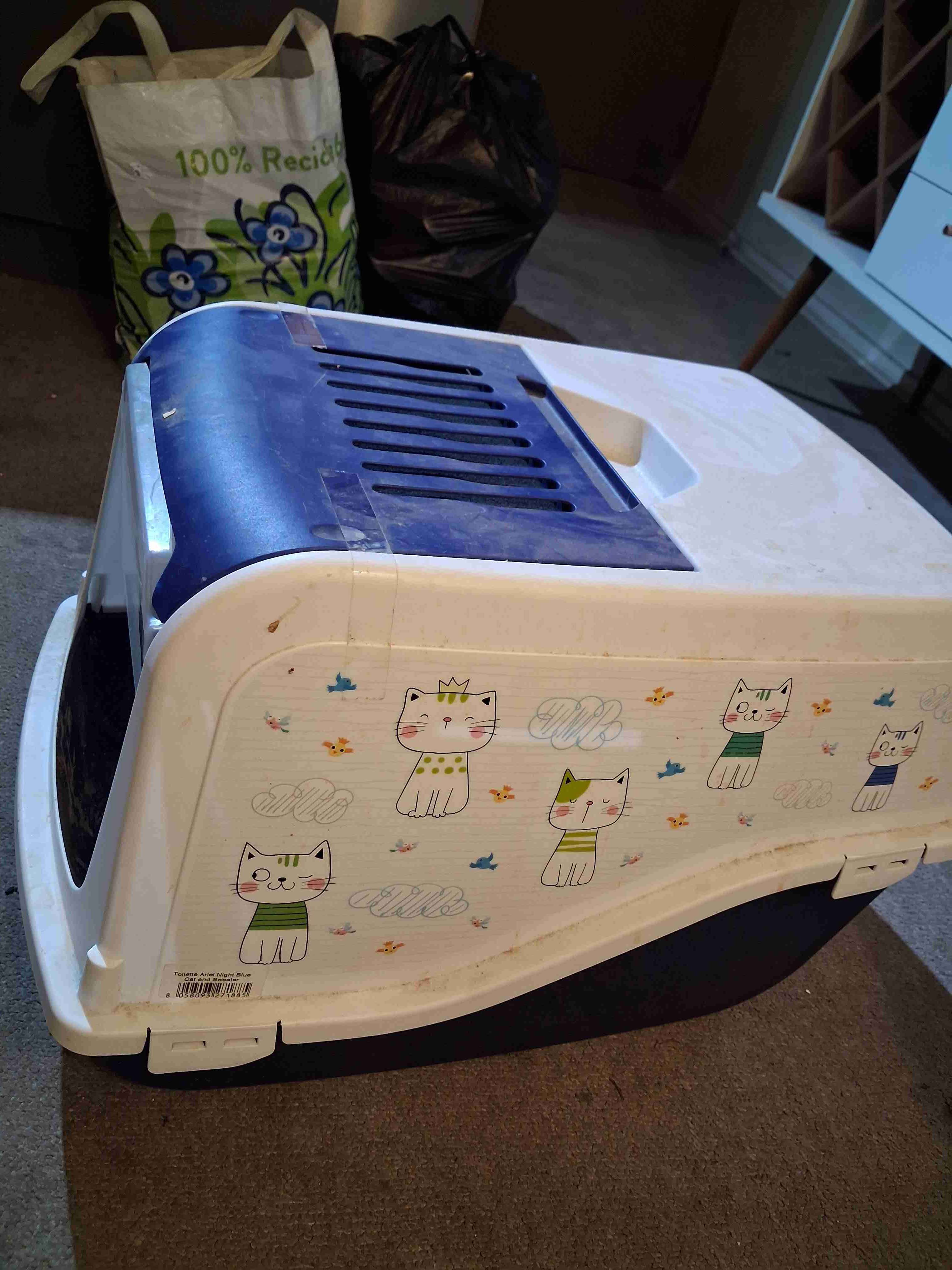 Areneto gatos - miniatura 3