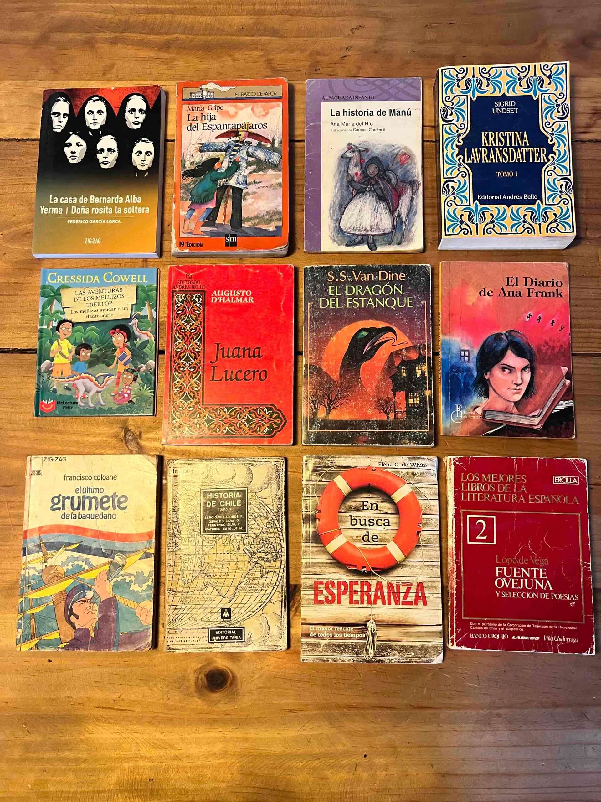 Lote de libros variados