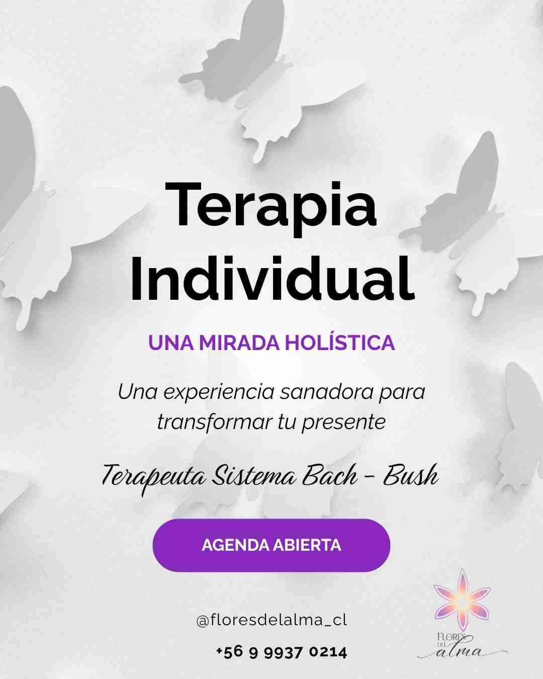 Terapia Individual Holística