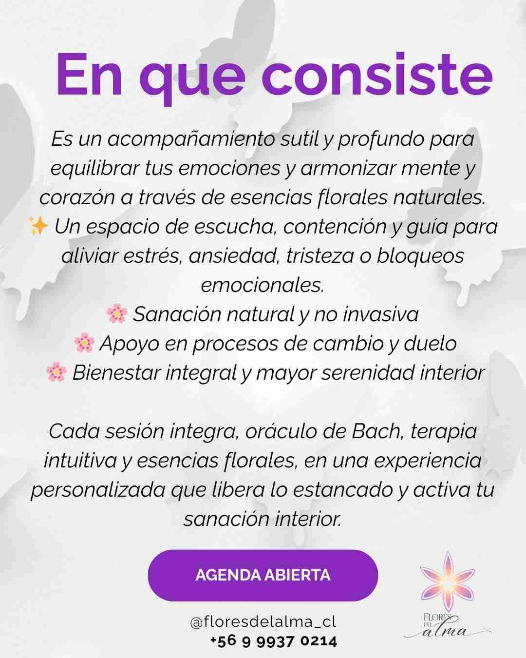 Terapia Individual Holística - 2