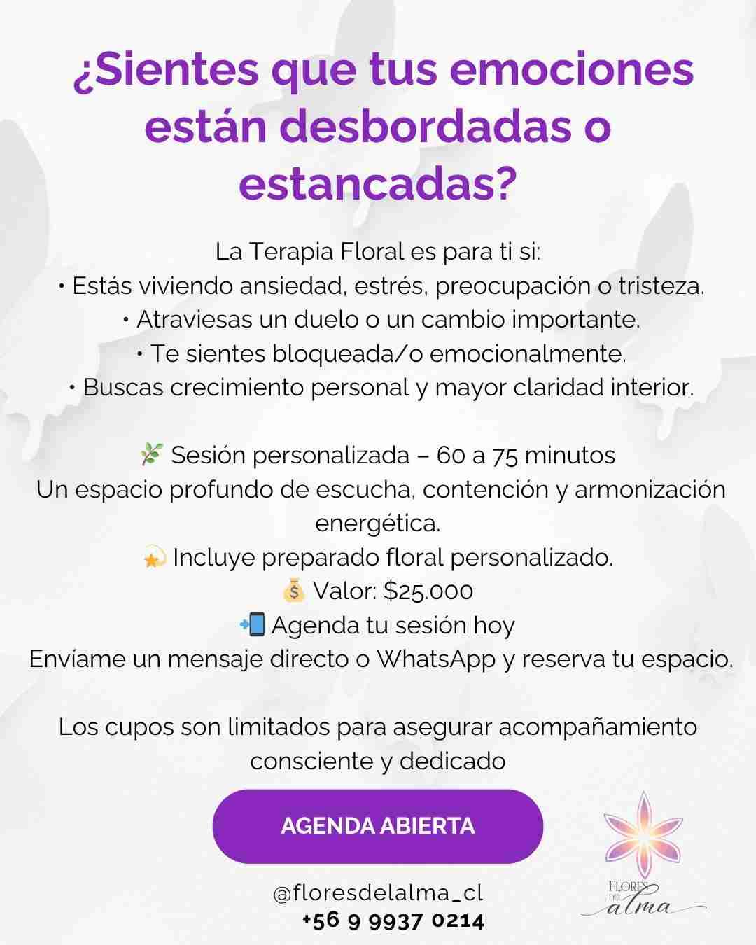 Terapia Individual Holística - 3