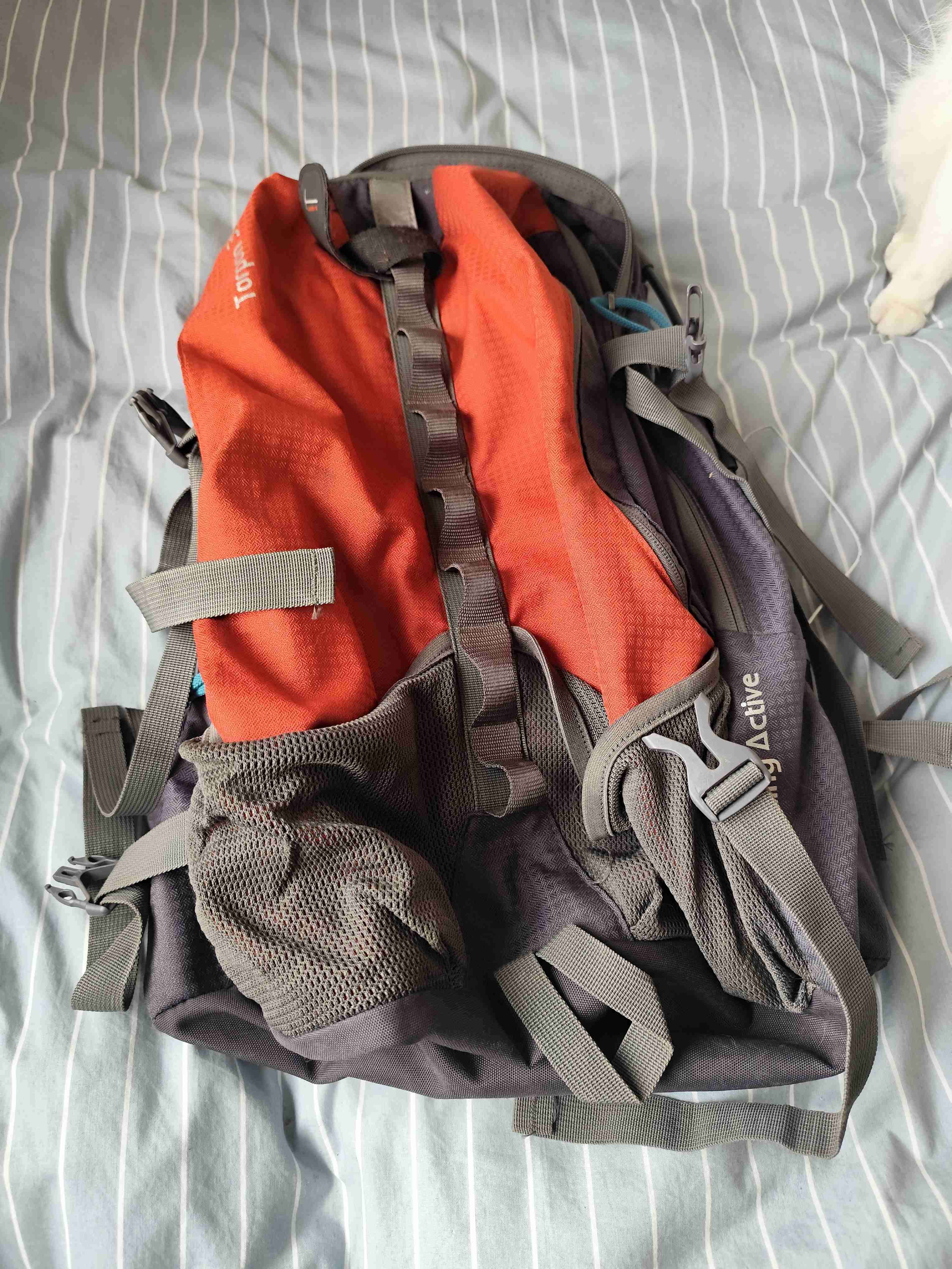 🎒 Mochila Doite Torpon 38L – trekking / hiking - miniatura 3