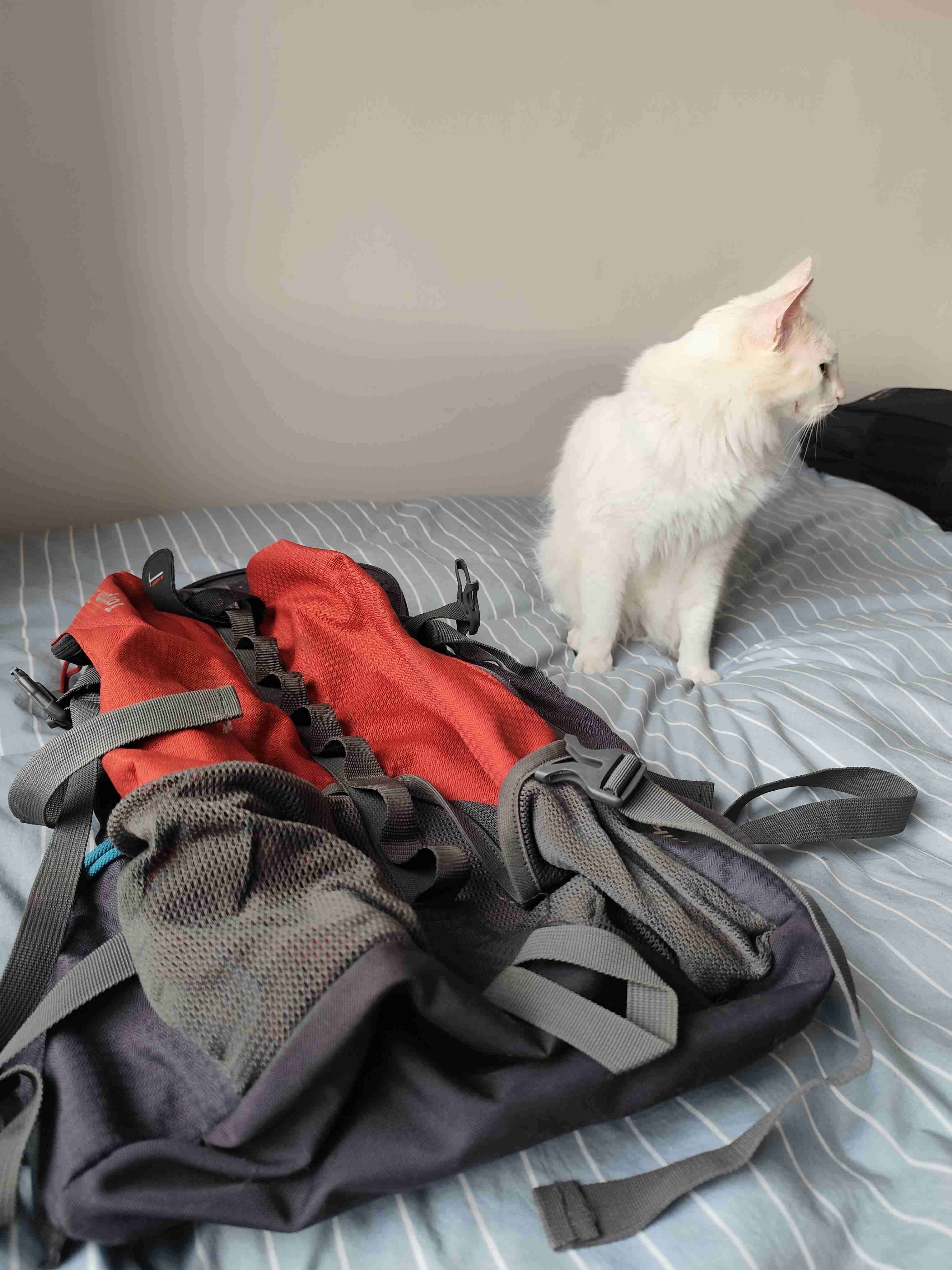 🎒 Mochila Doite Torpon 38L – trekking / hiking - miniatura 4