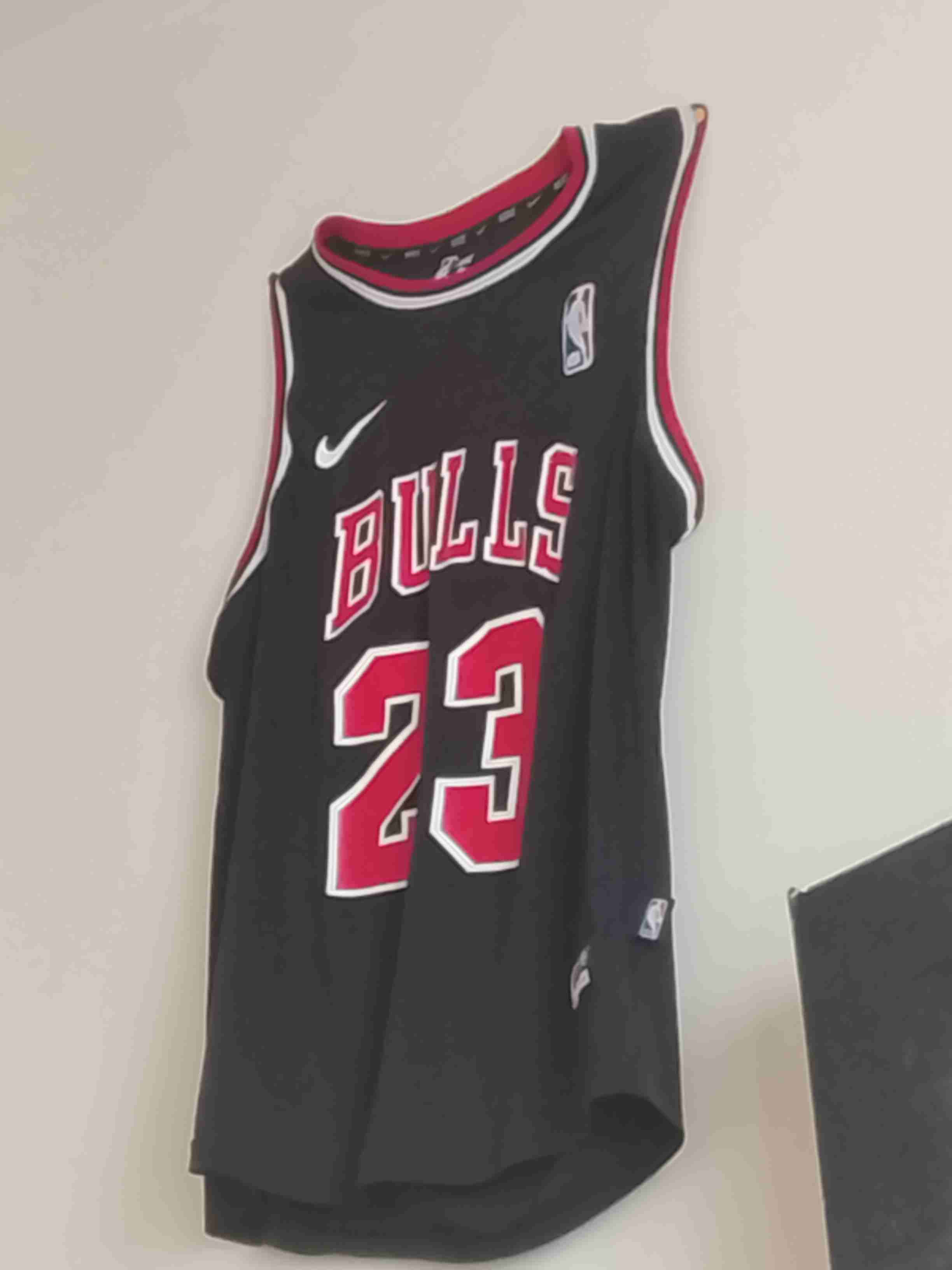 Camiseta deportiva Bulls 23