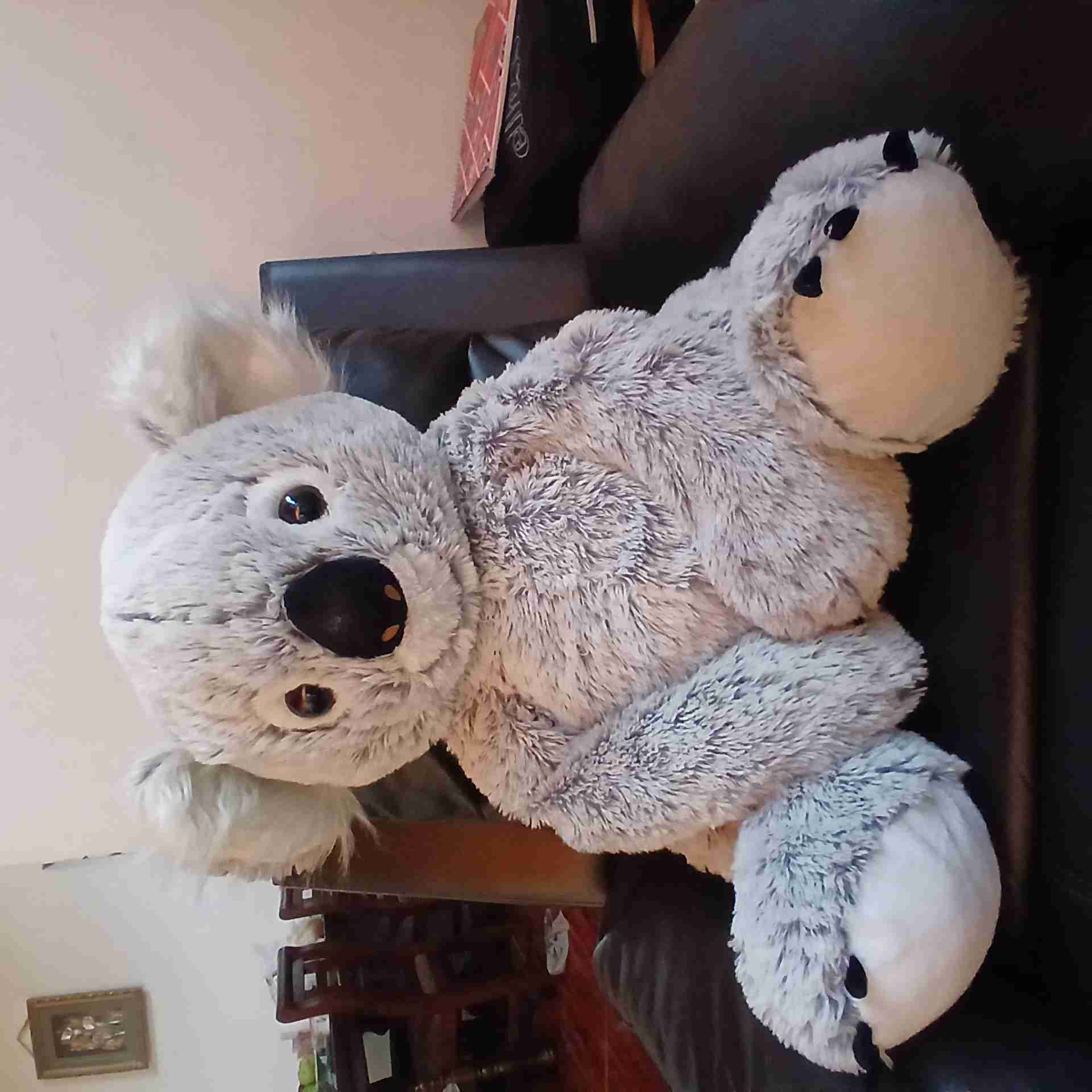 Peluche gigante de koala