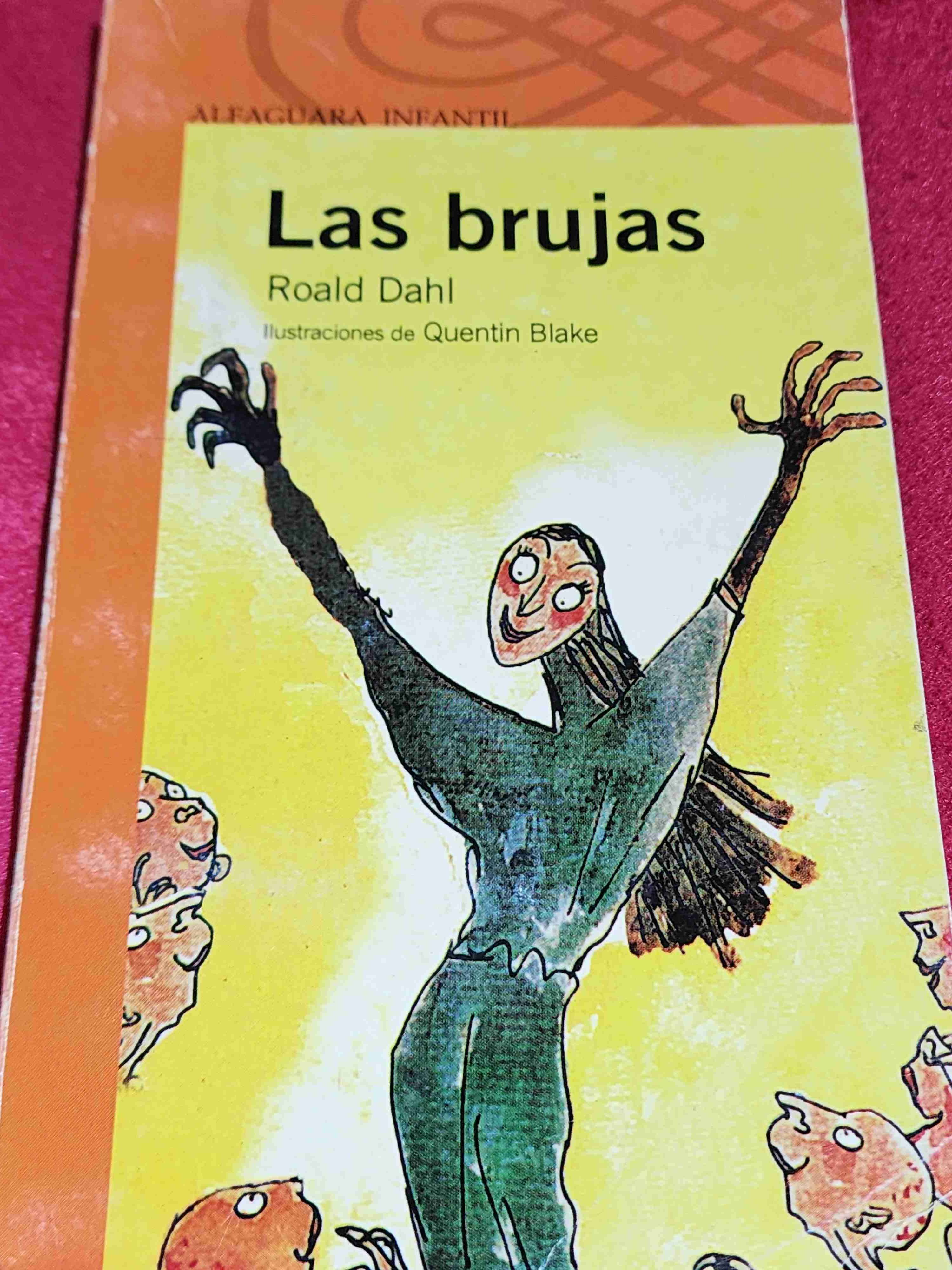 Libro - Las brujas