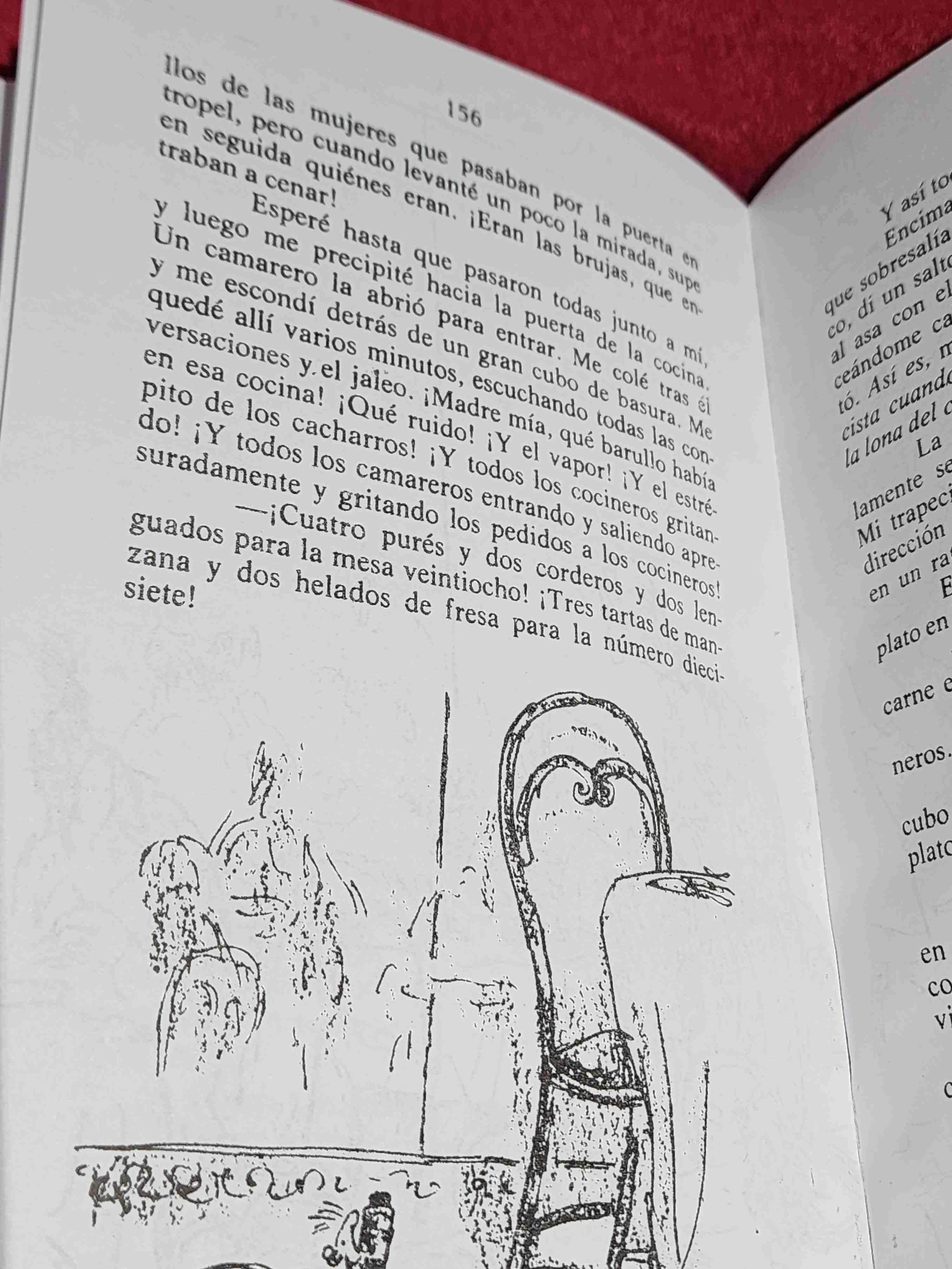 Libro - Las brujas - miniatura 2