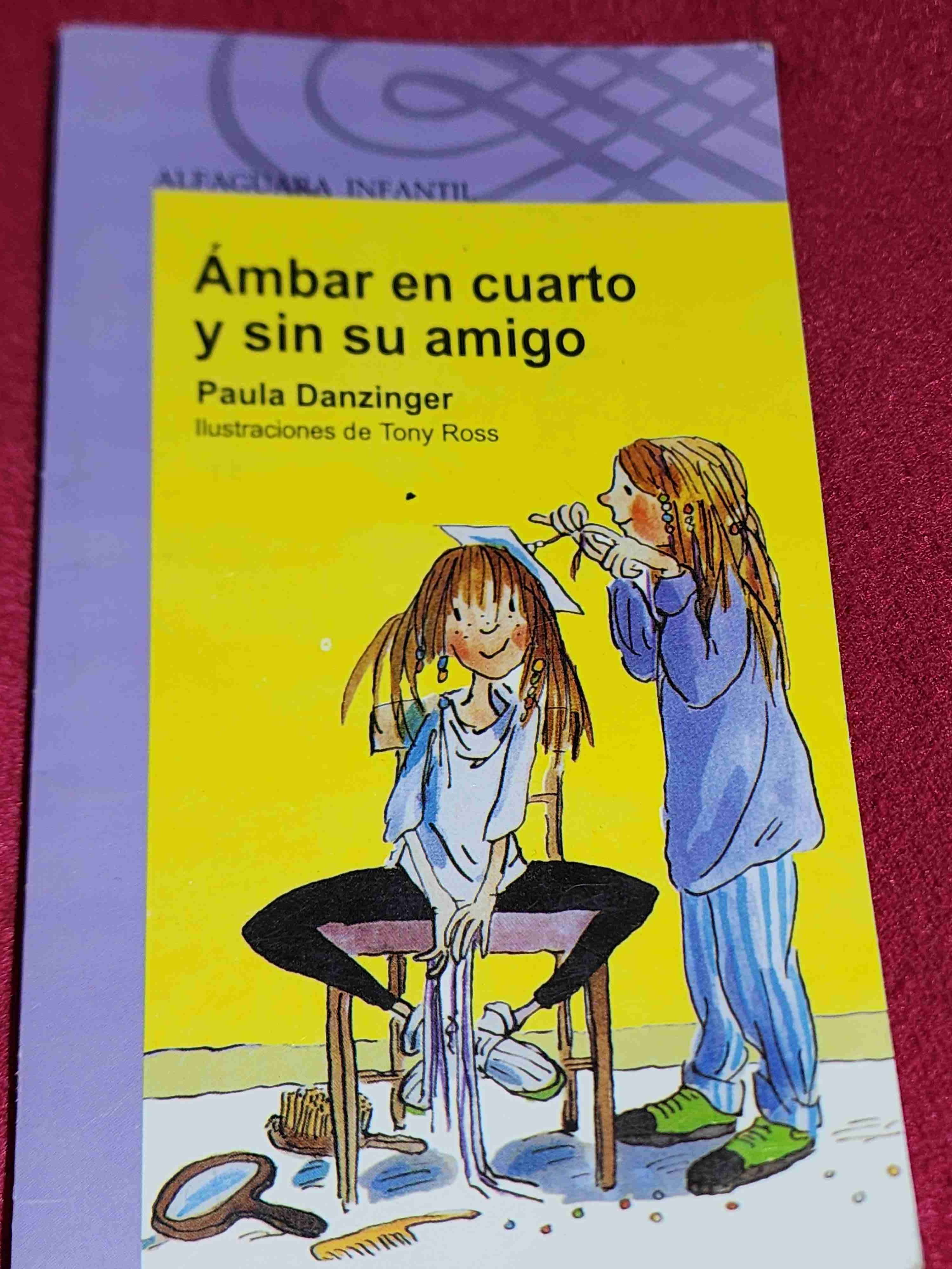 Libro Ámbar en cuarto