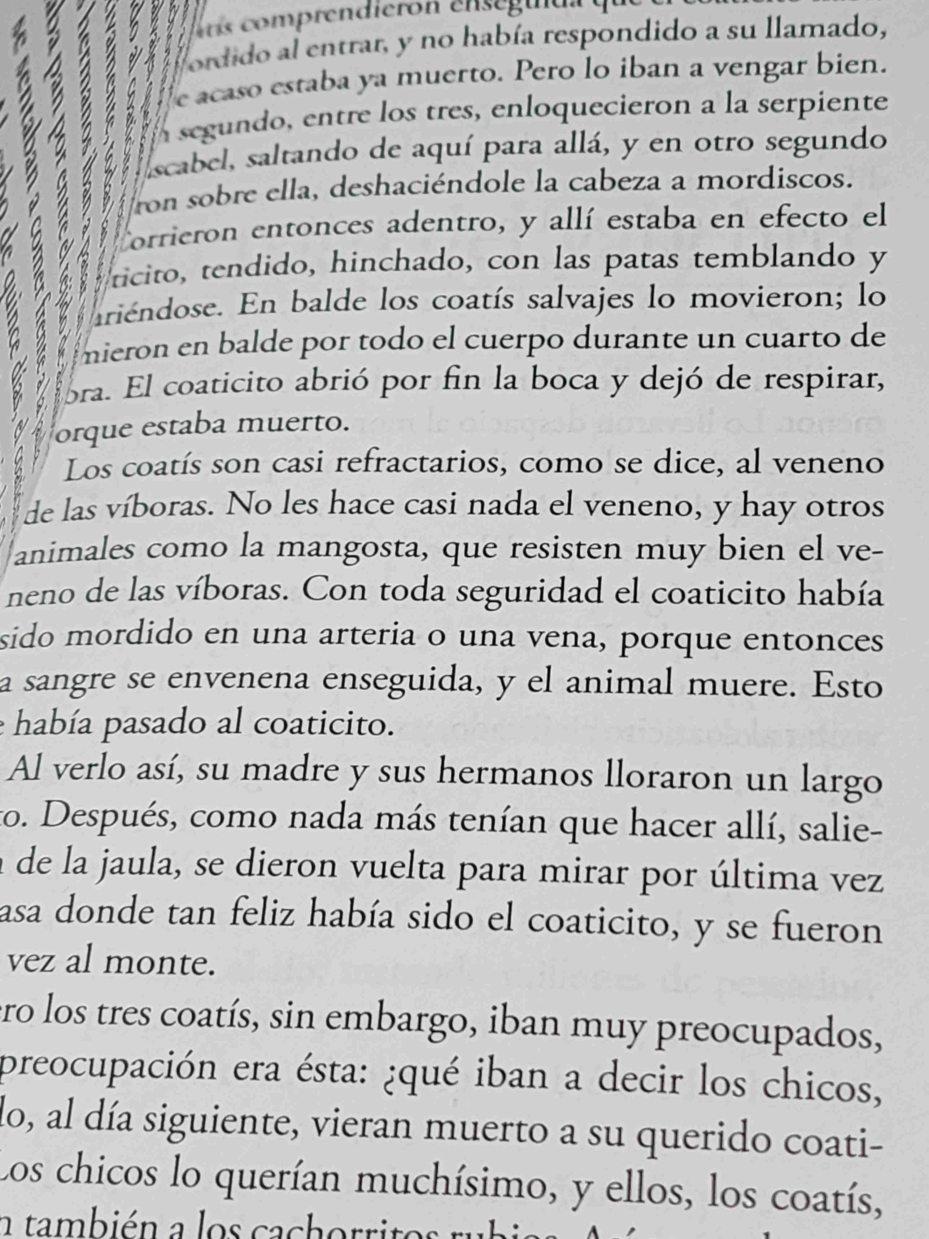 Libro Cuentos de la Selva - miniatura 2