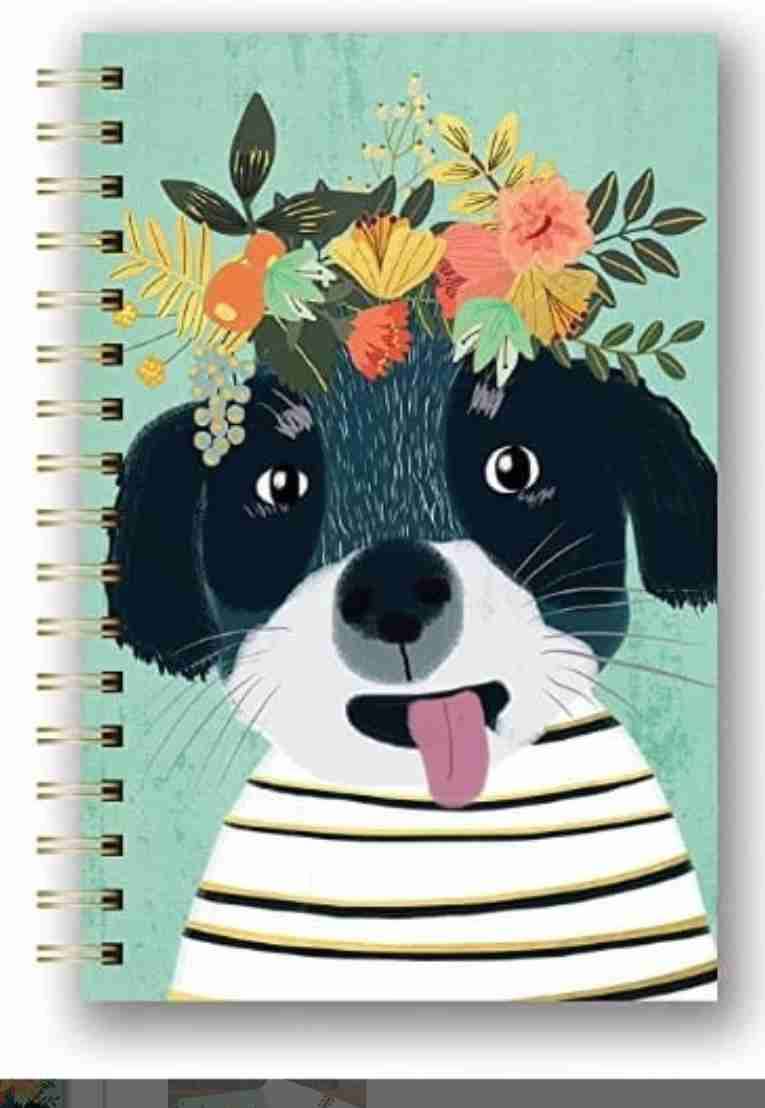 Cuaderno espiral con diseños marca Studio Oh - miniatura 2