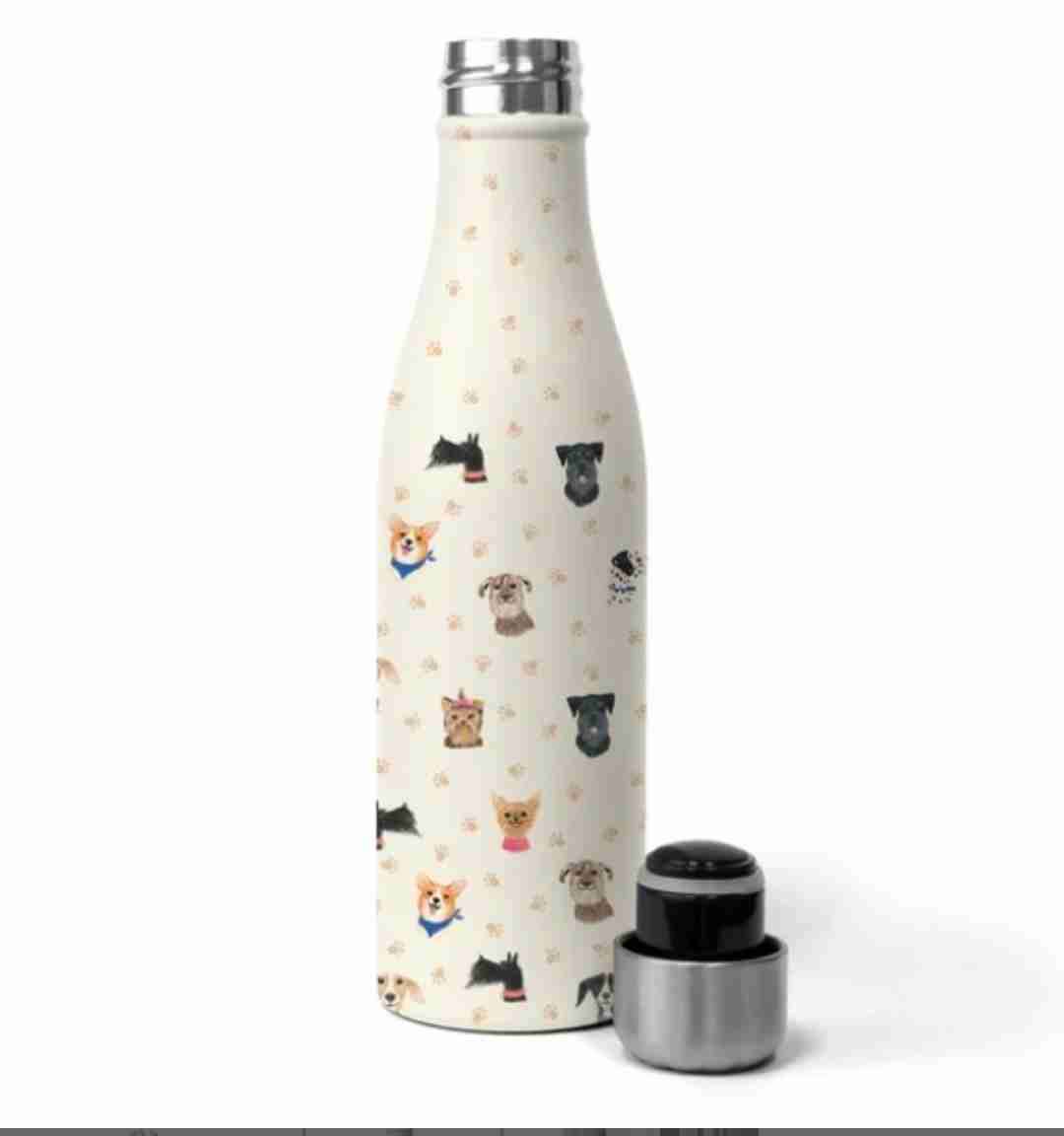 Botellas Agua Acero Inoxidable Orange Circle