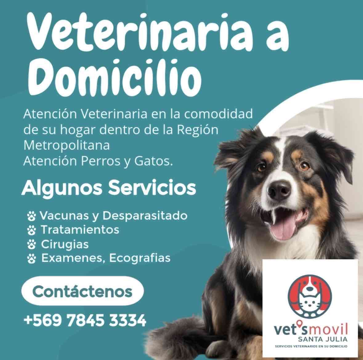 Veterinaria a domicilio