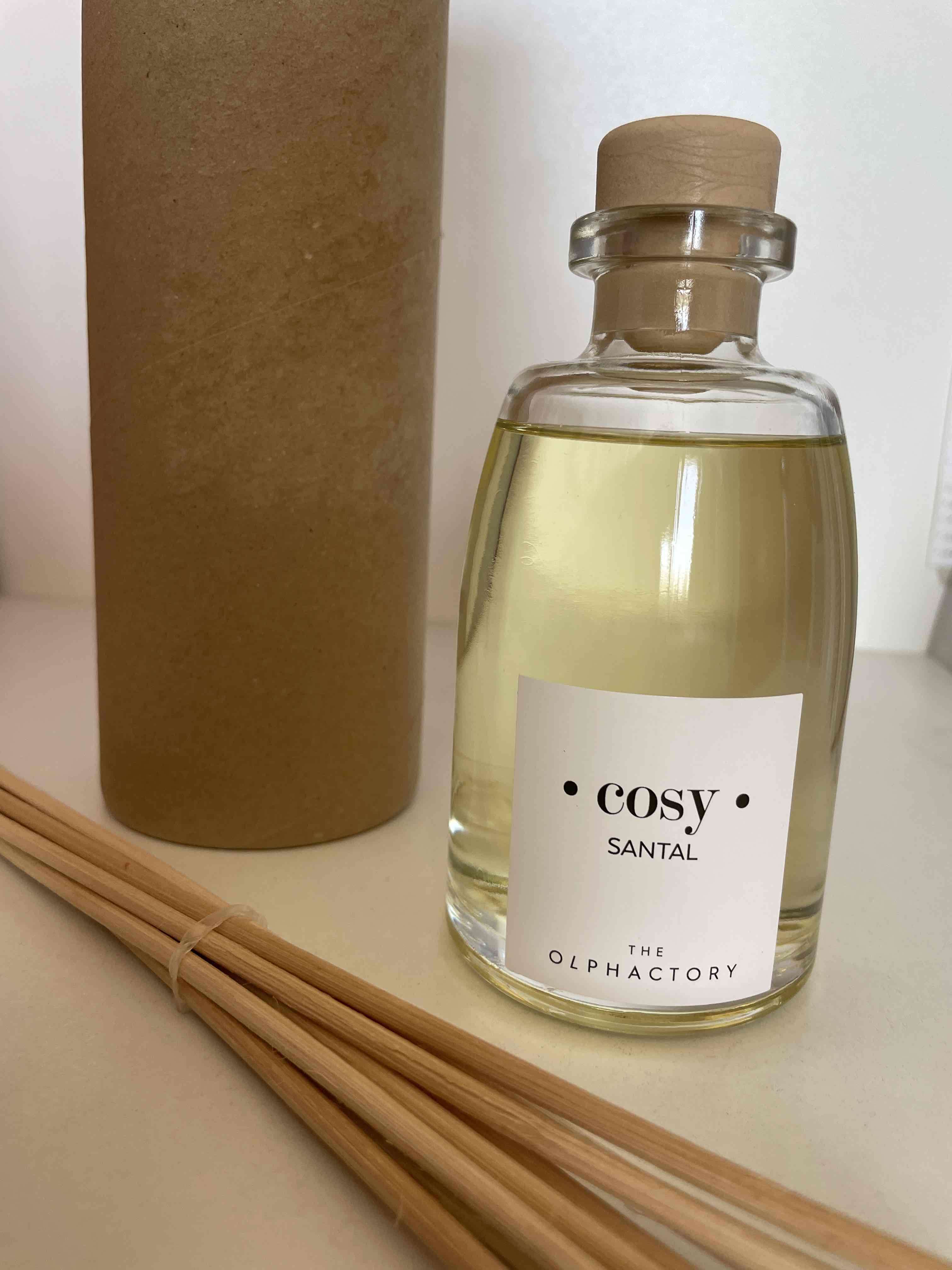 Difusor de aroma The Olphactory