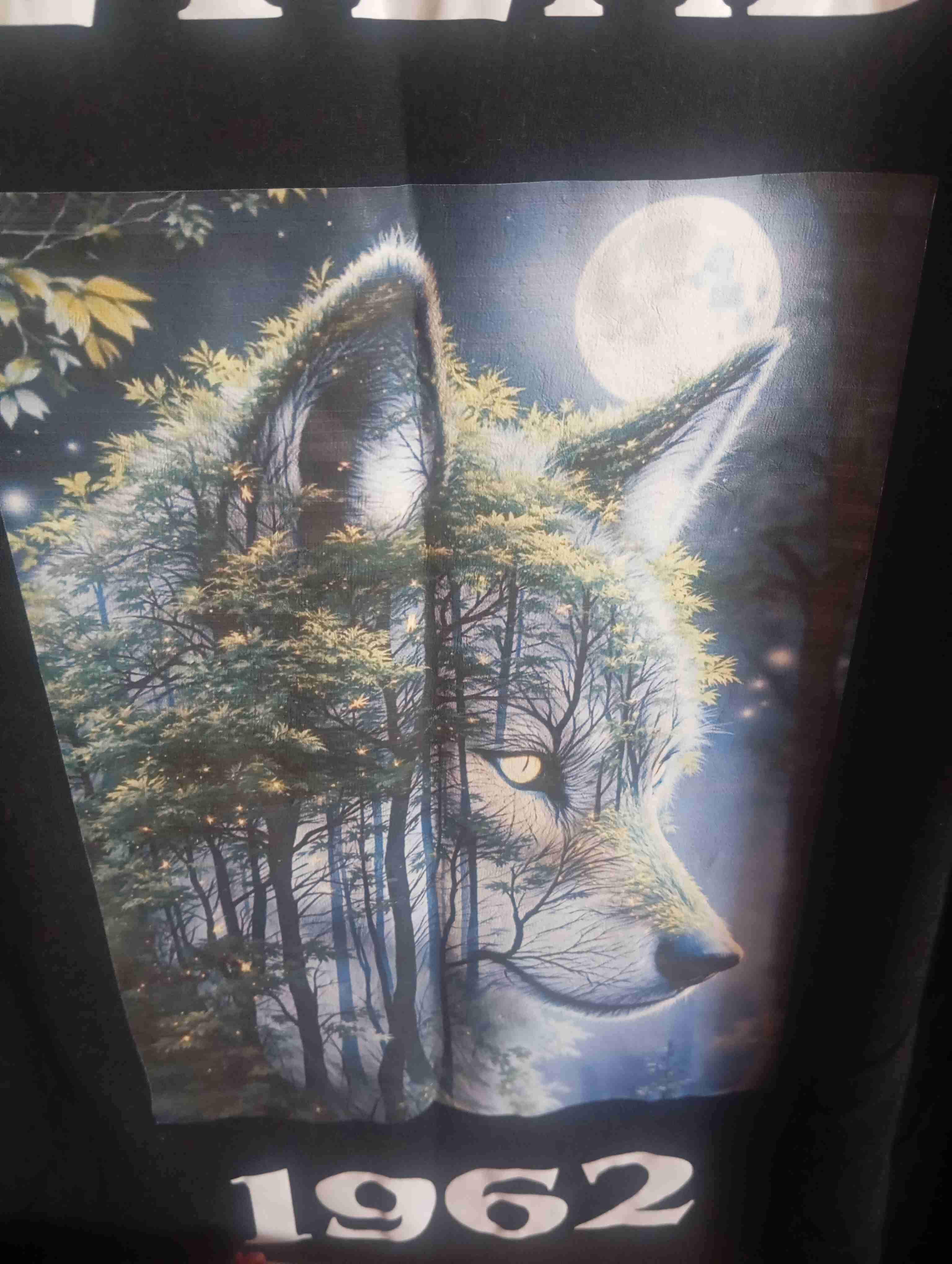 Polera negra Leyenda 1962 - 4