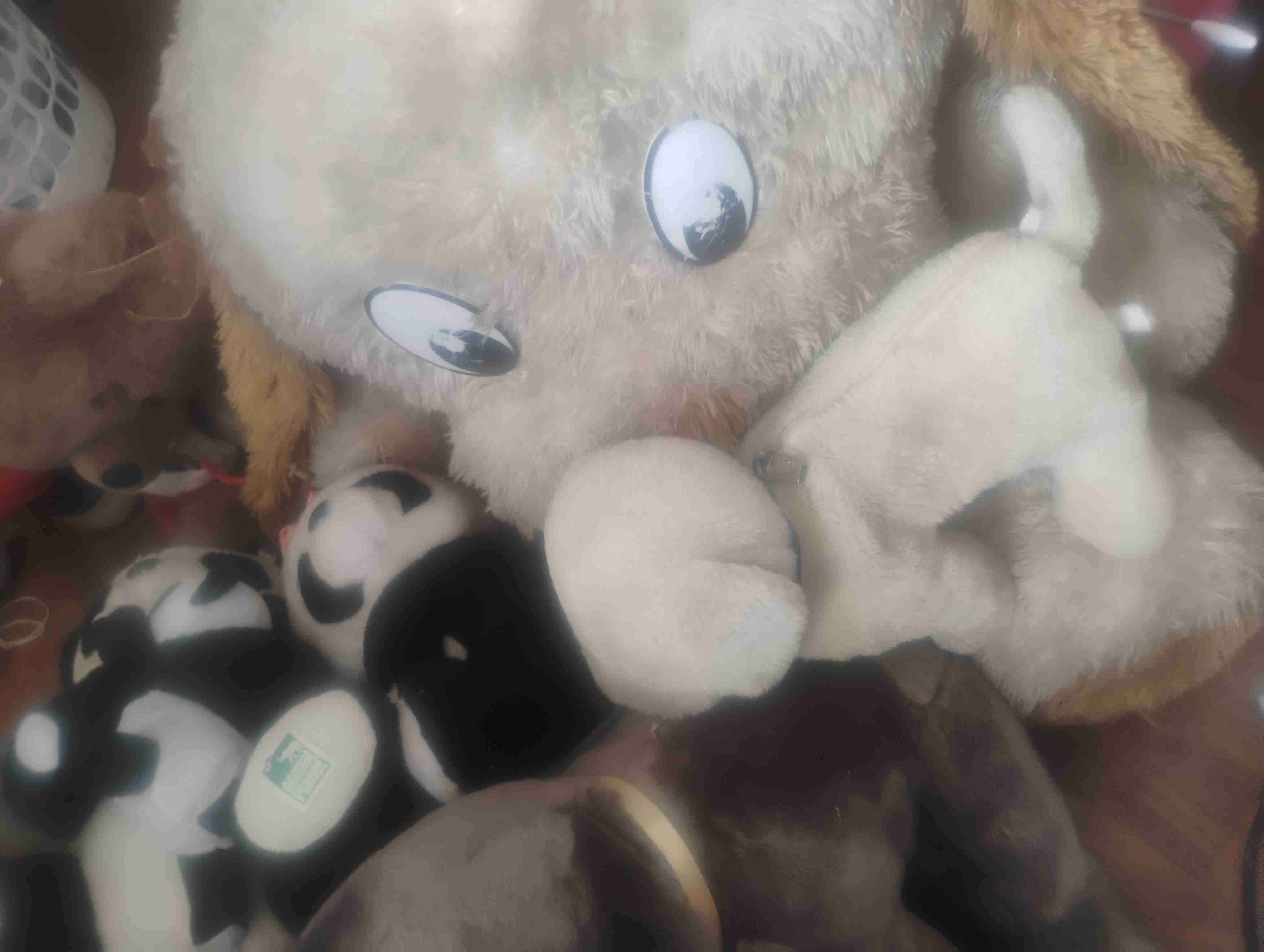 Lote de peluches variados - miniatura 2