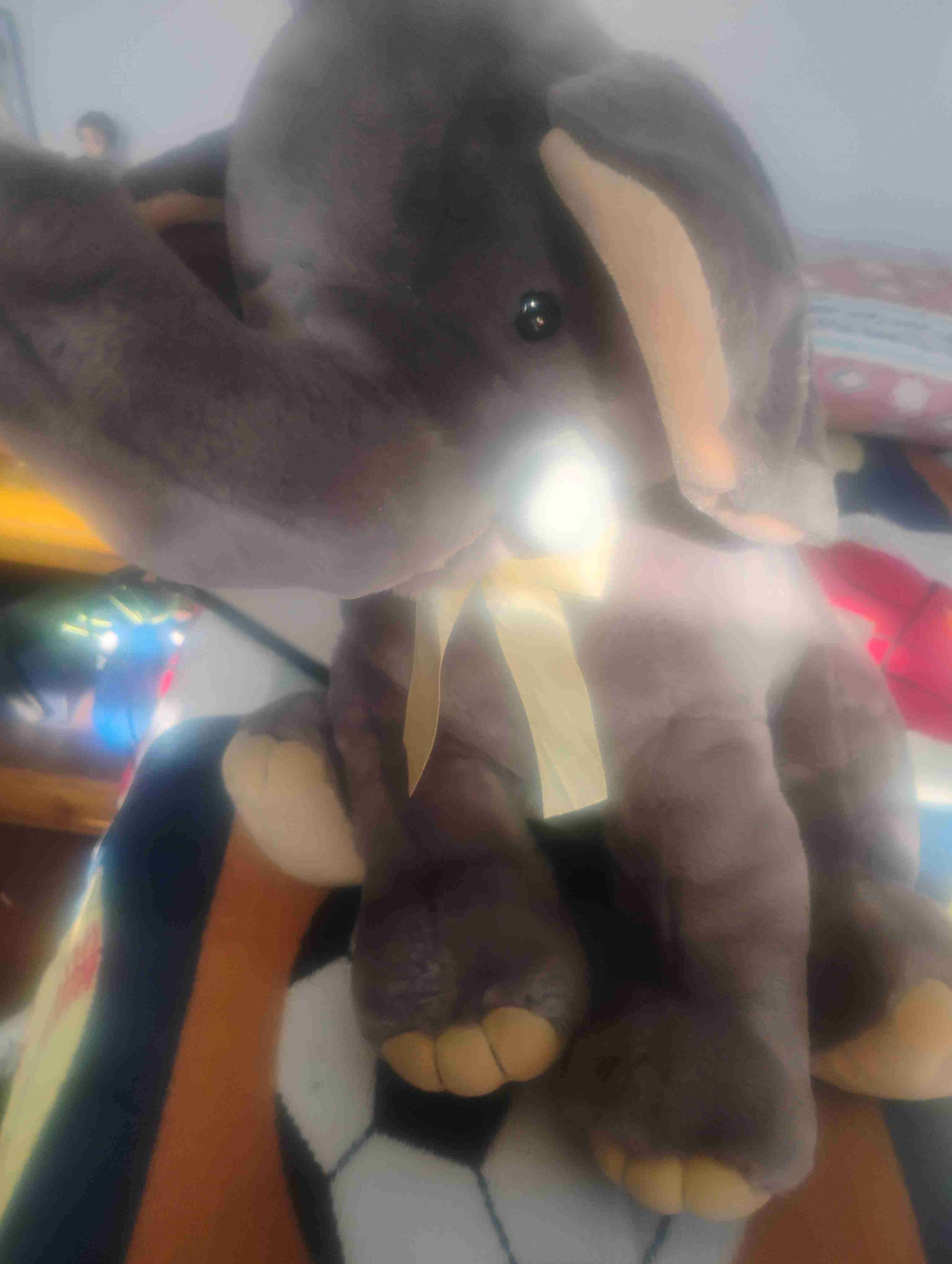 Lote de peluches variados - miniatura 3