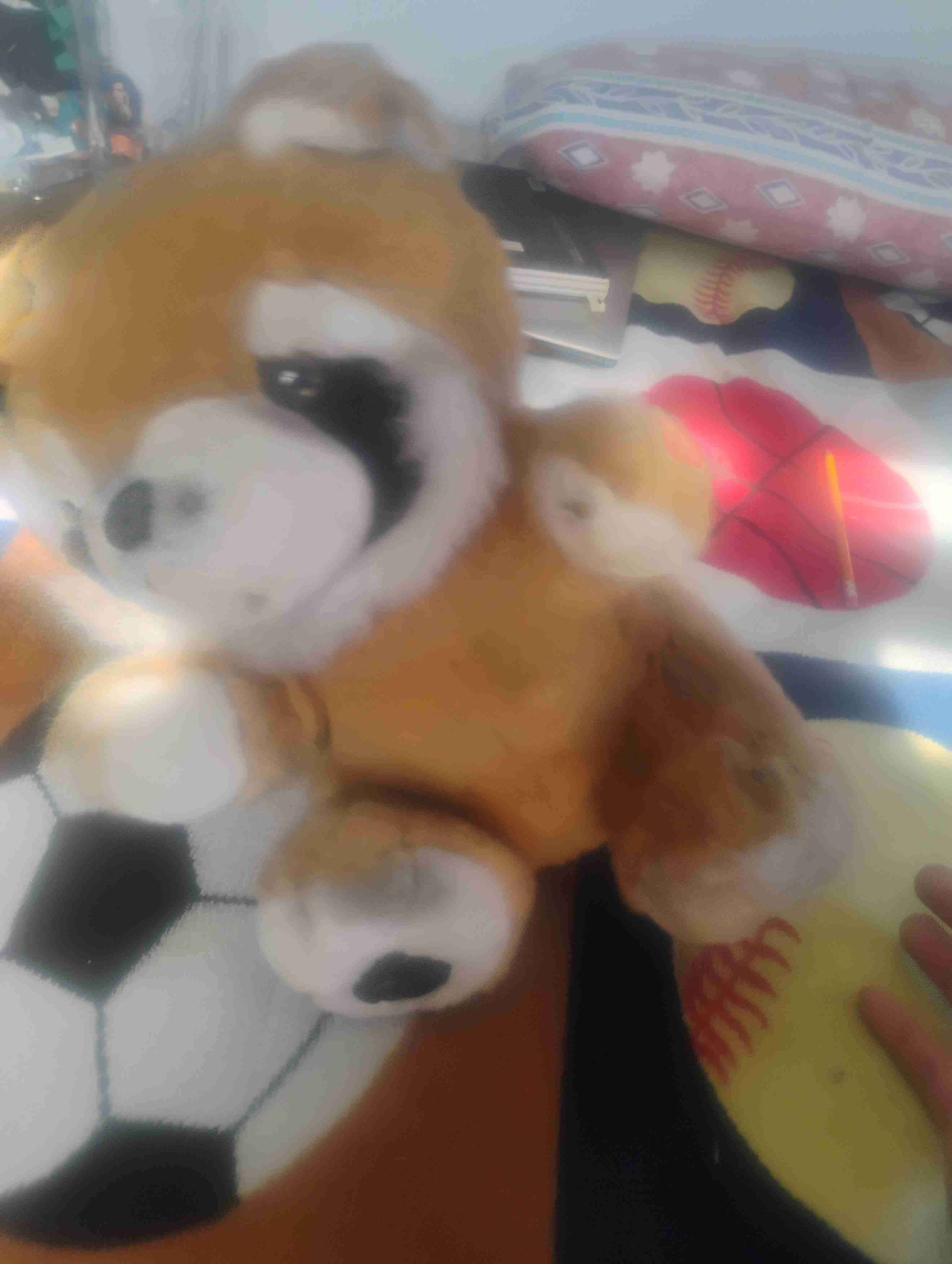 Lote de peluches variados - miniatura 6