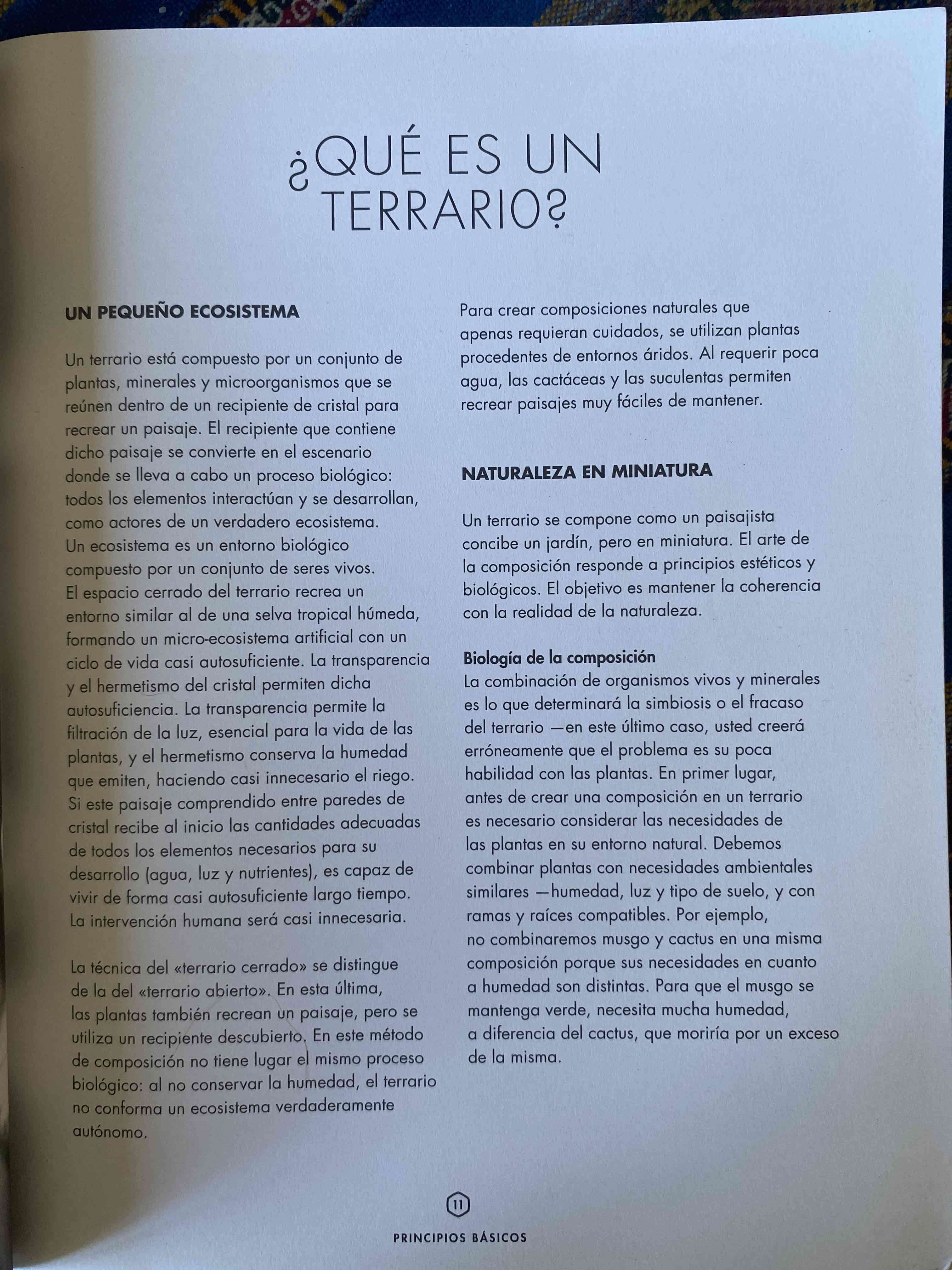 Libro Terrarios - Blume - miniatura 3