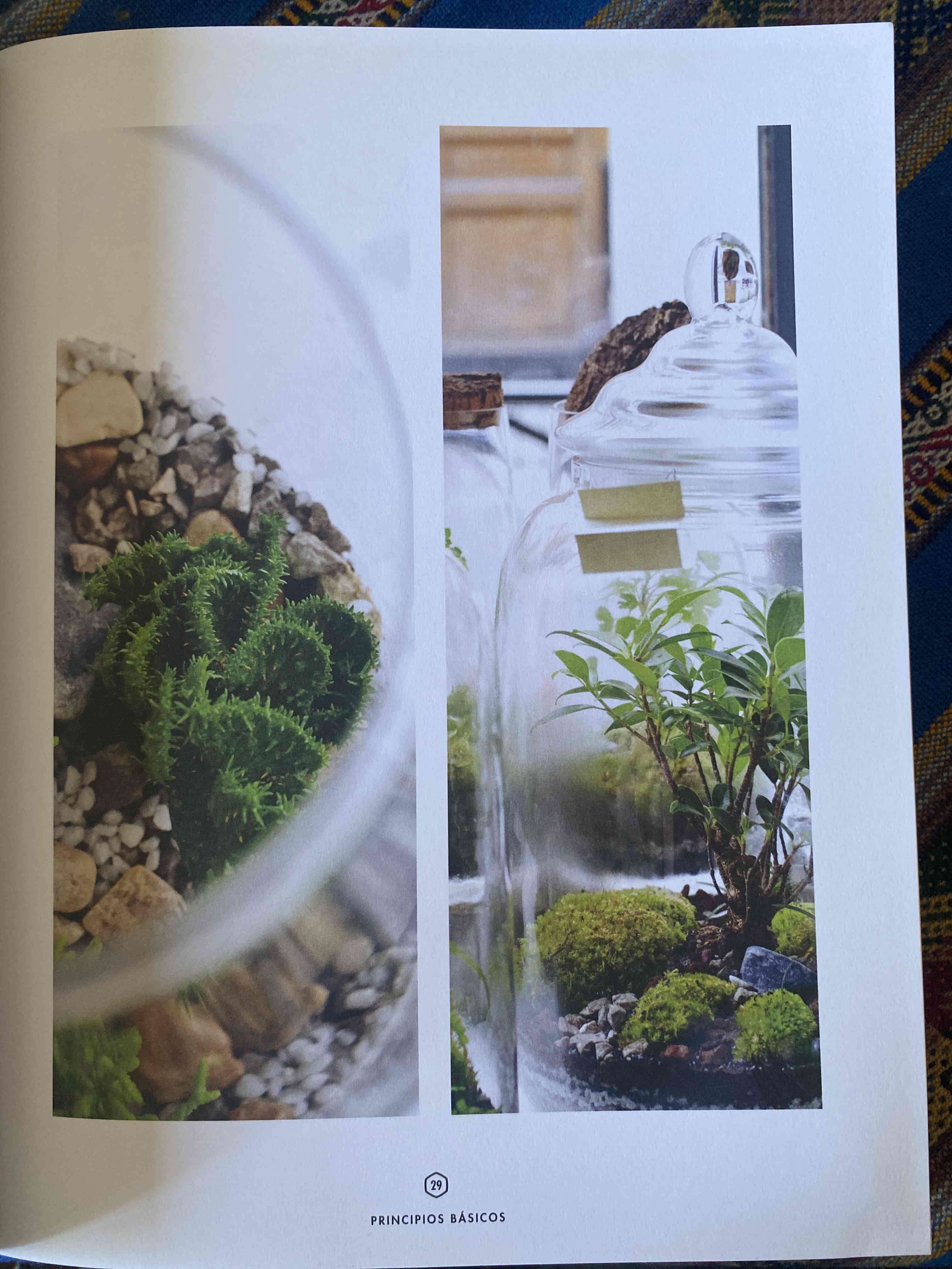 Libro Terrarios - Blume - miniatura 4