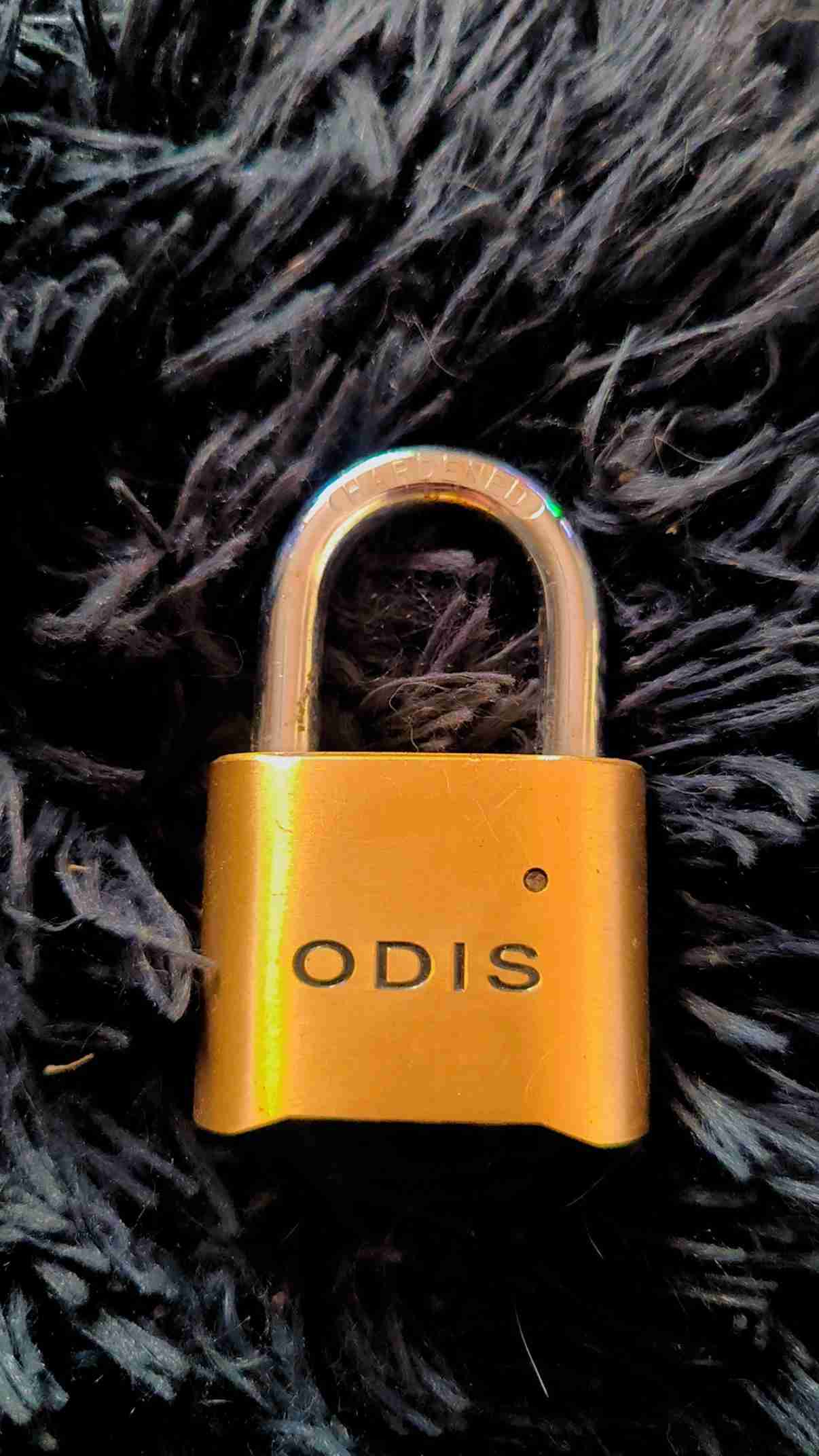 Candado de seguridad ODIS