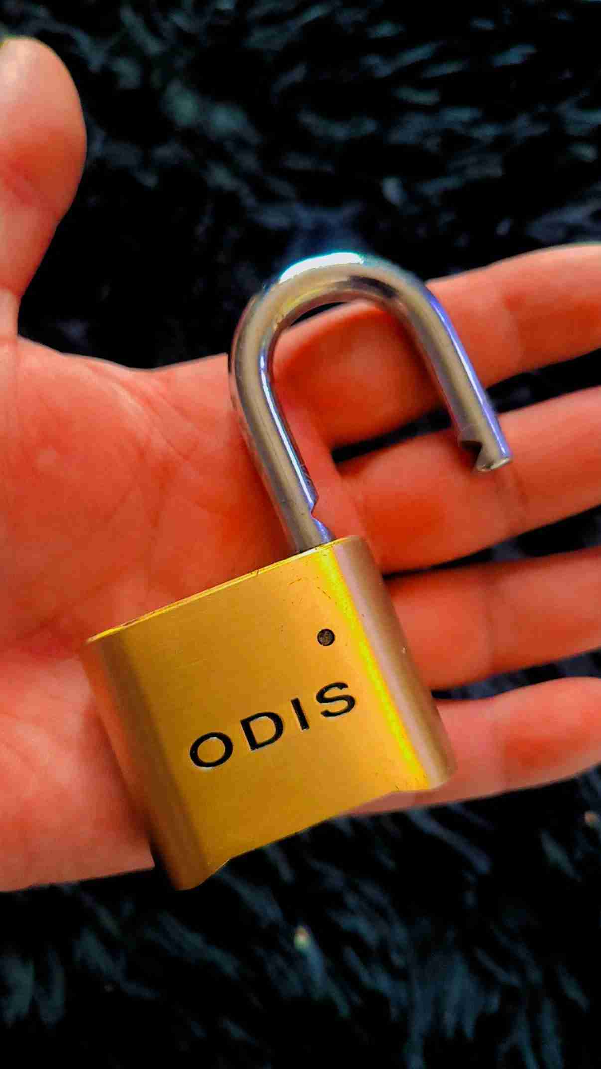 Candado de seguridad ODIS - 2