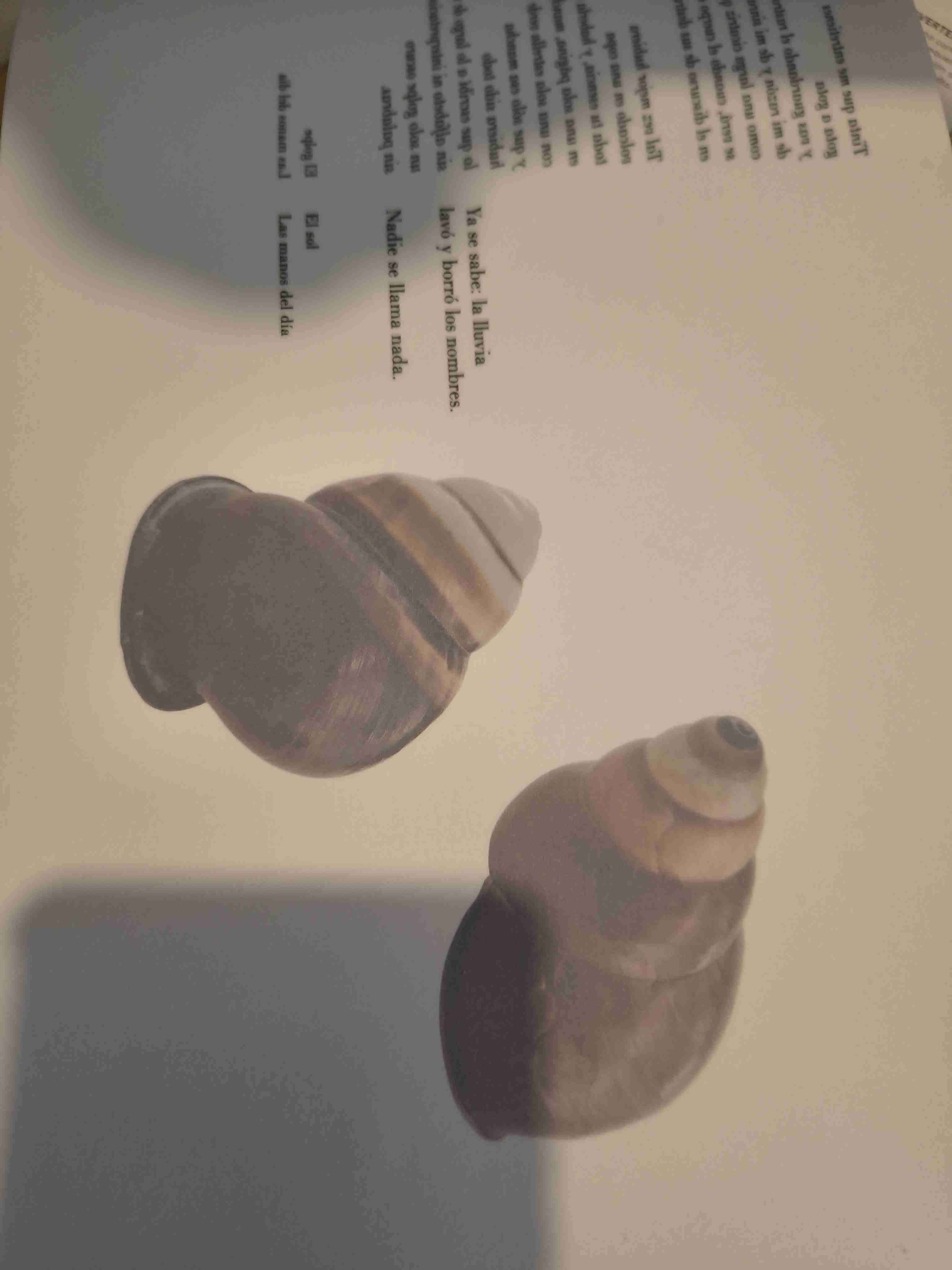 Libro 'Amor al Mar' - miniatura 3