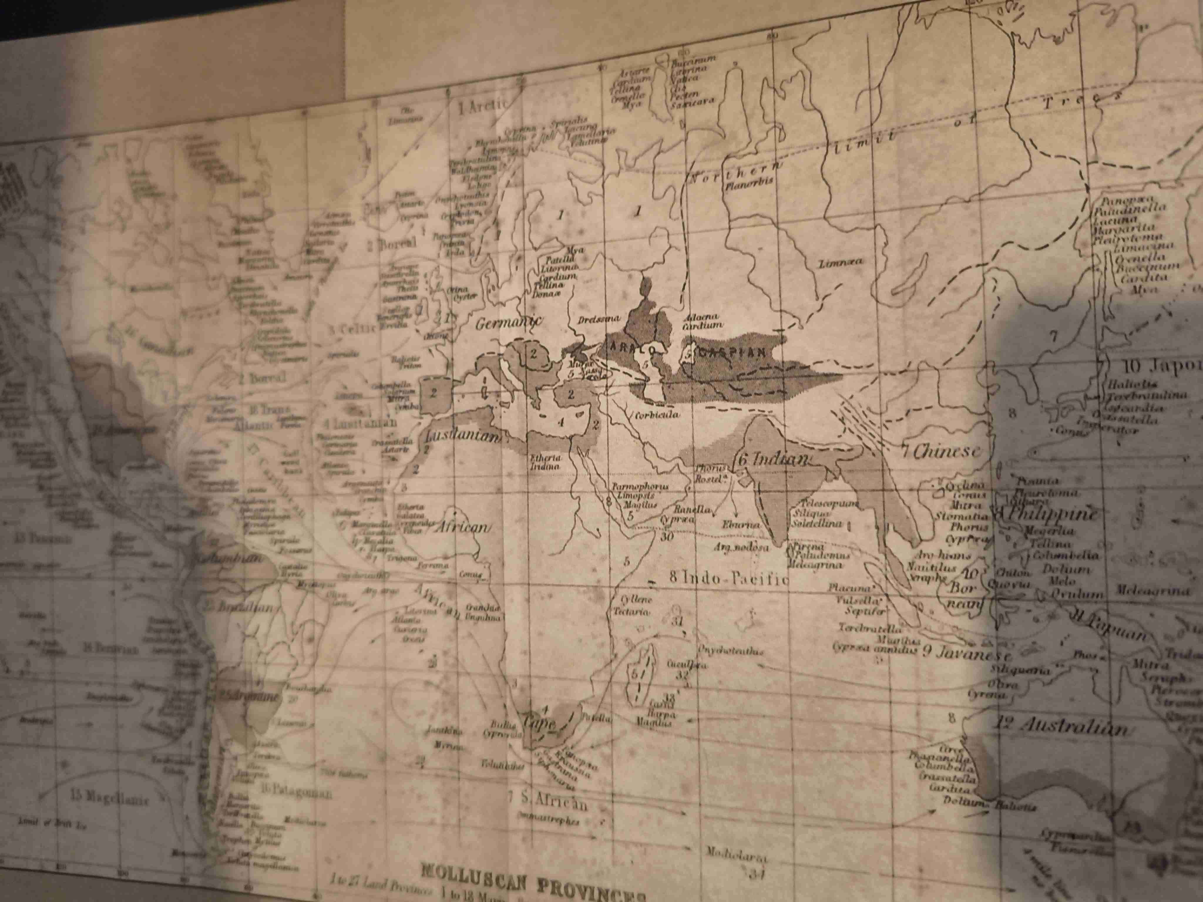 Libro 'Amor al Mar' - miniatura 4