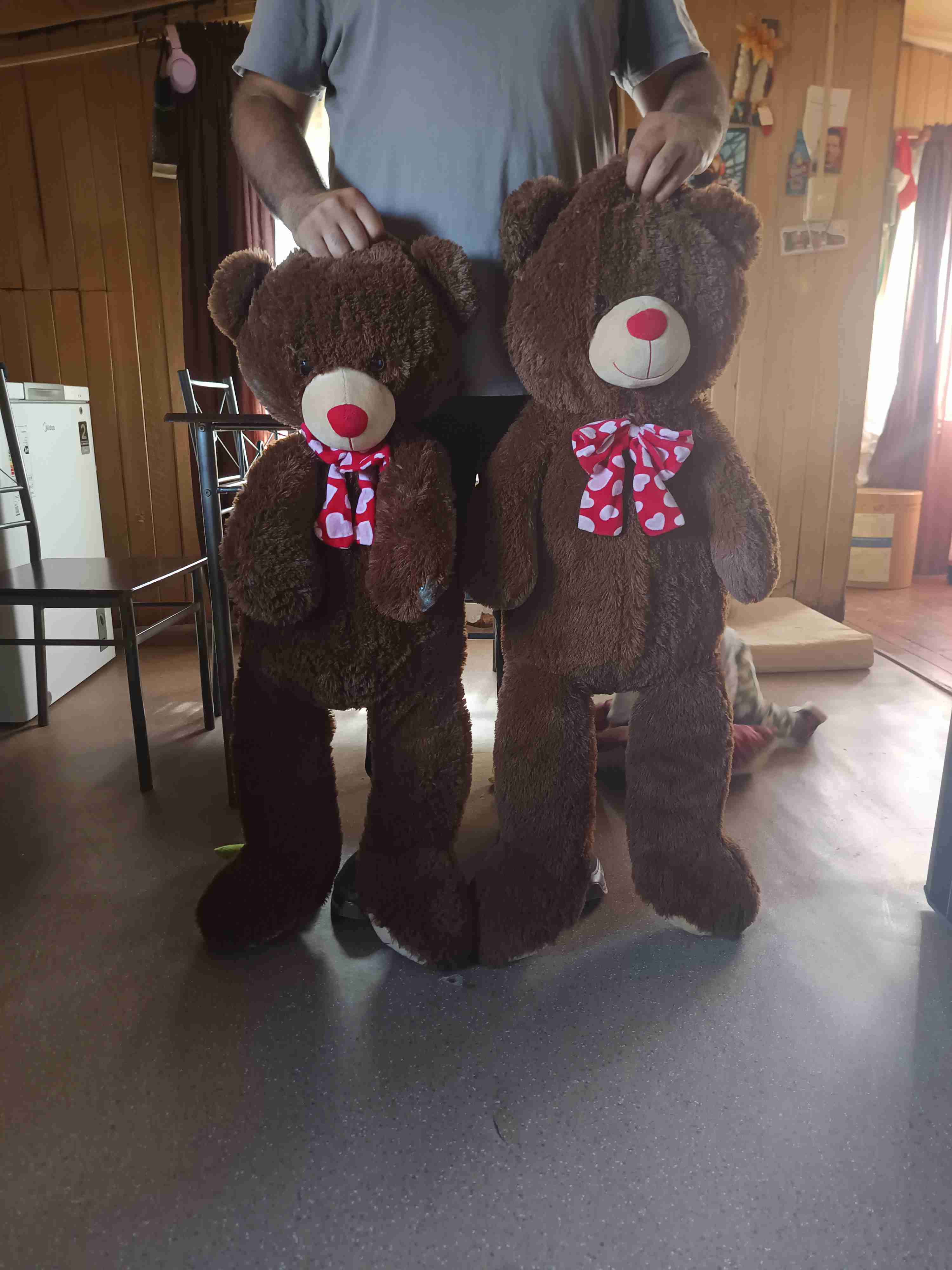 Osos de peluche grandes