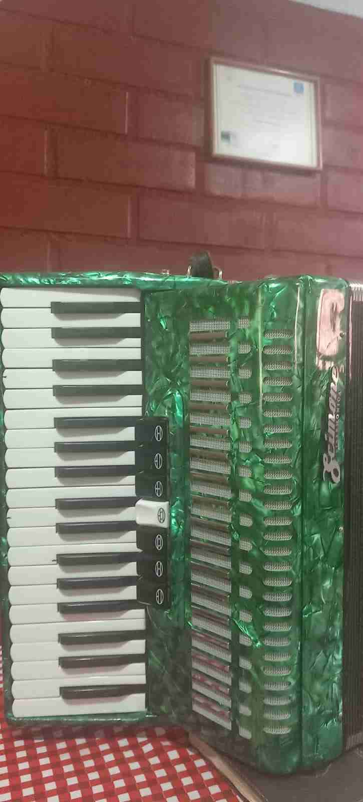 Acordeón verde Scimone - miniatura 2