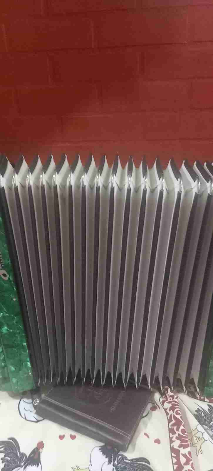 Acordeón verde Scimone - miniatura 6