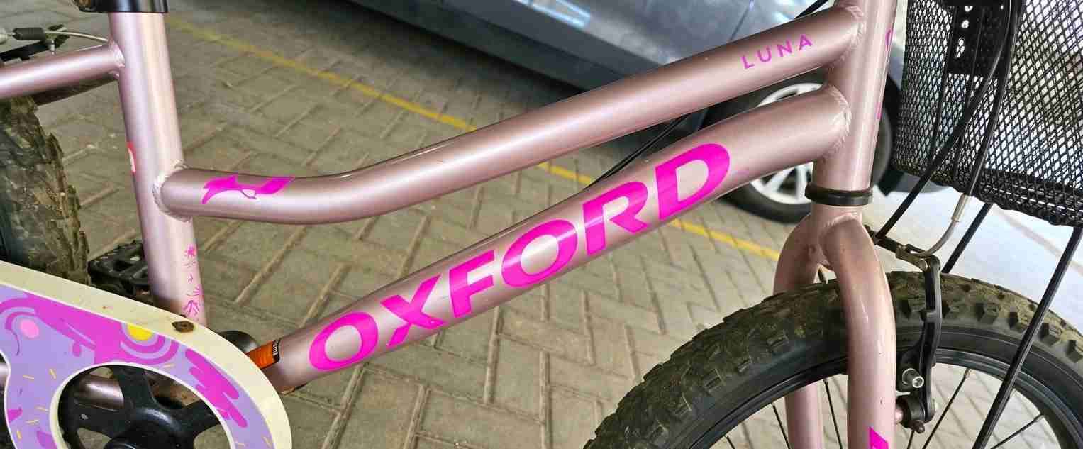 Bicicleta Oxford Luna Aro 20 - miniatura 3