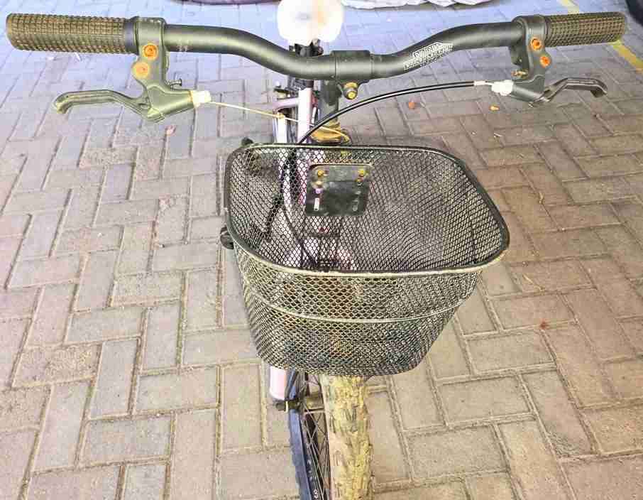 Bicicleta Oxford Luna Aro 20 - miniatura 4