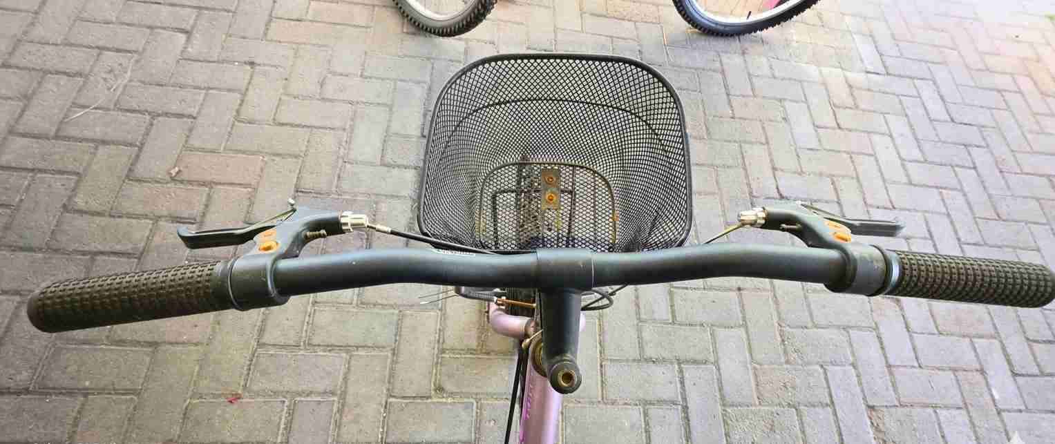 Bicicleta Oxford Luna Aro 20 - miniatura 5