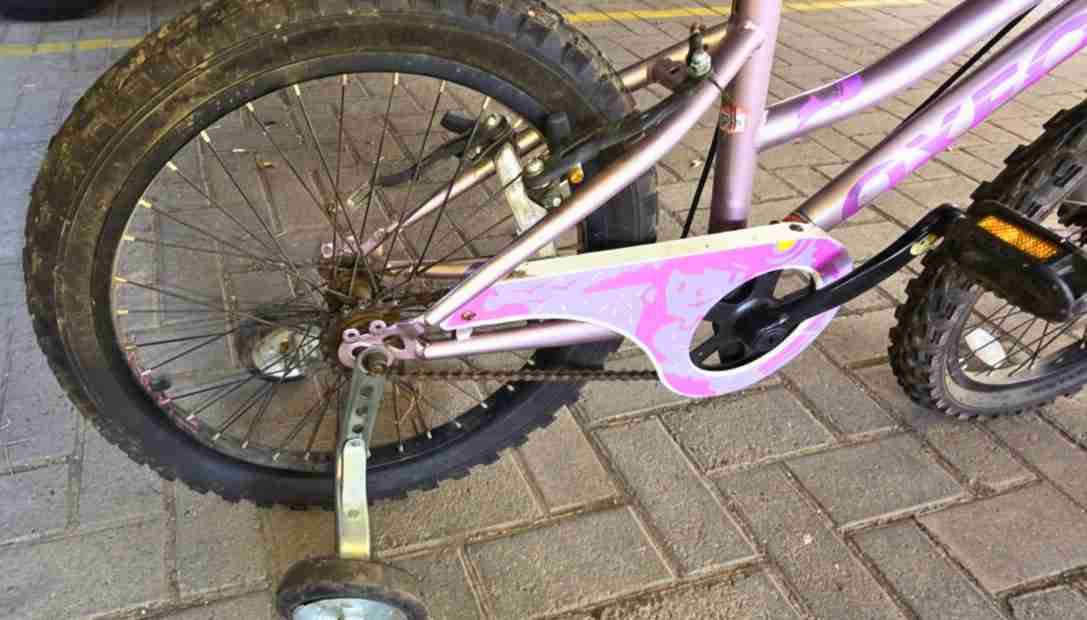 Bicicleta Oxford Luna Aro 20 - miniatura 6