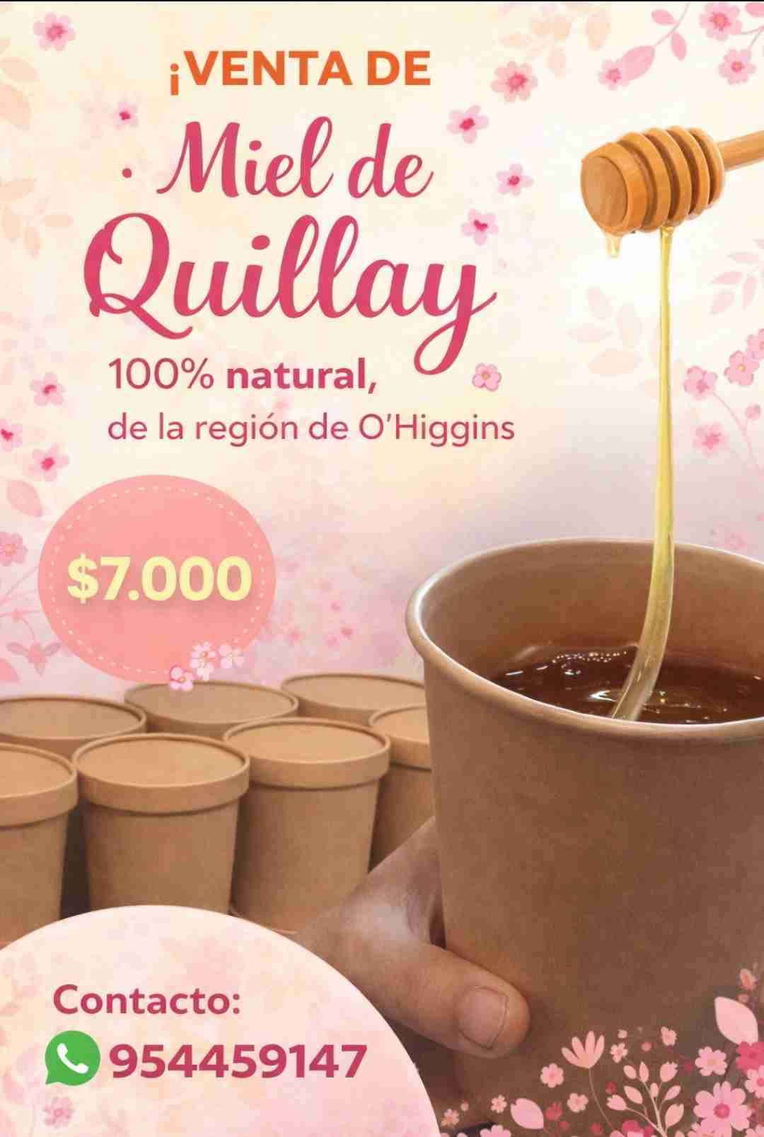 Miel de Quillay natural