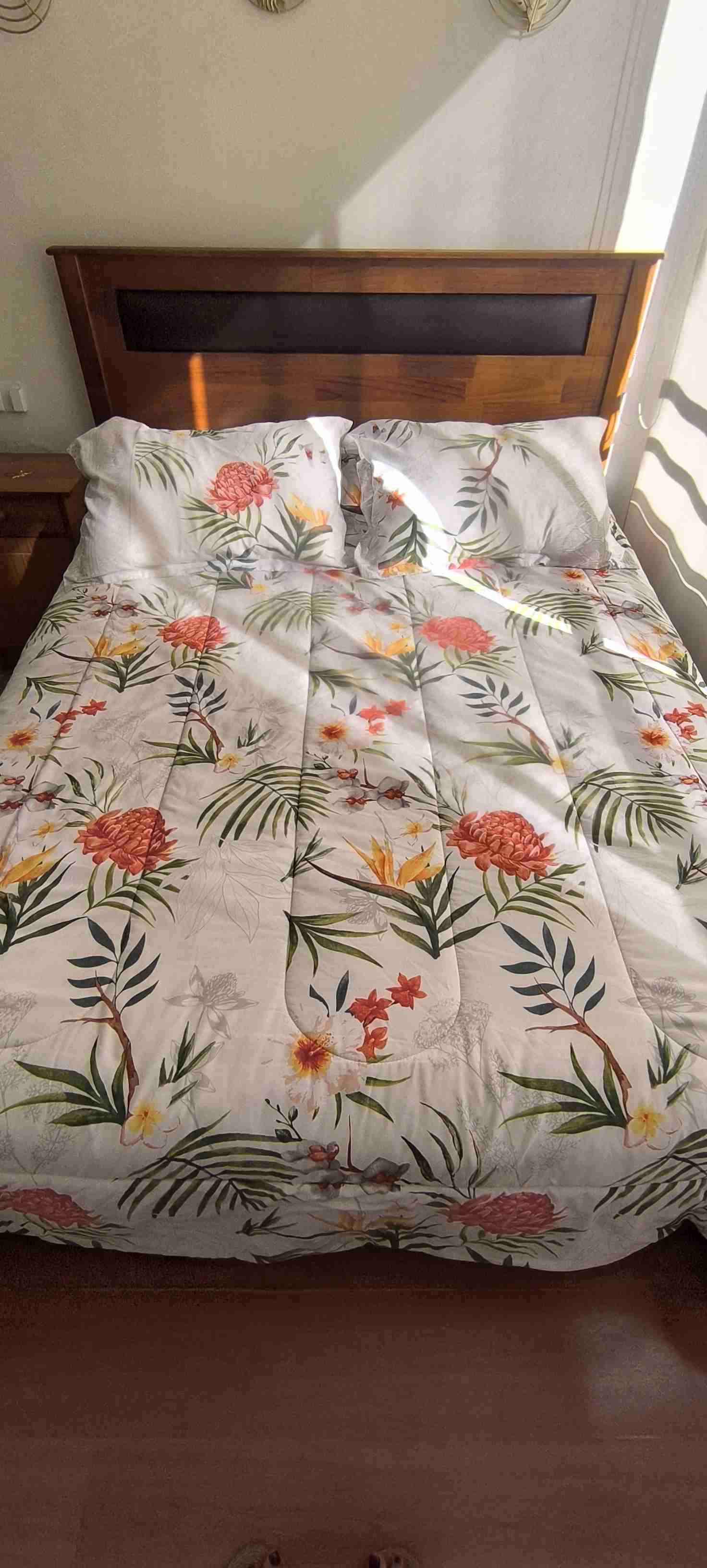 Plumon Cannon Home - miniatura 2