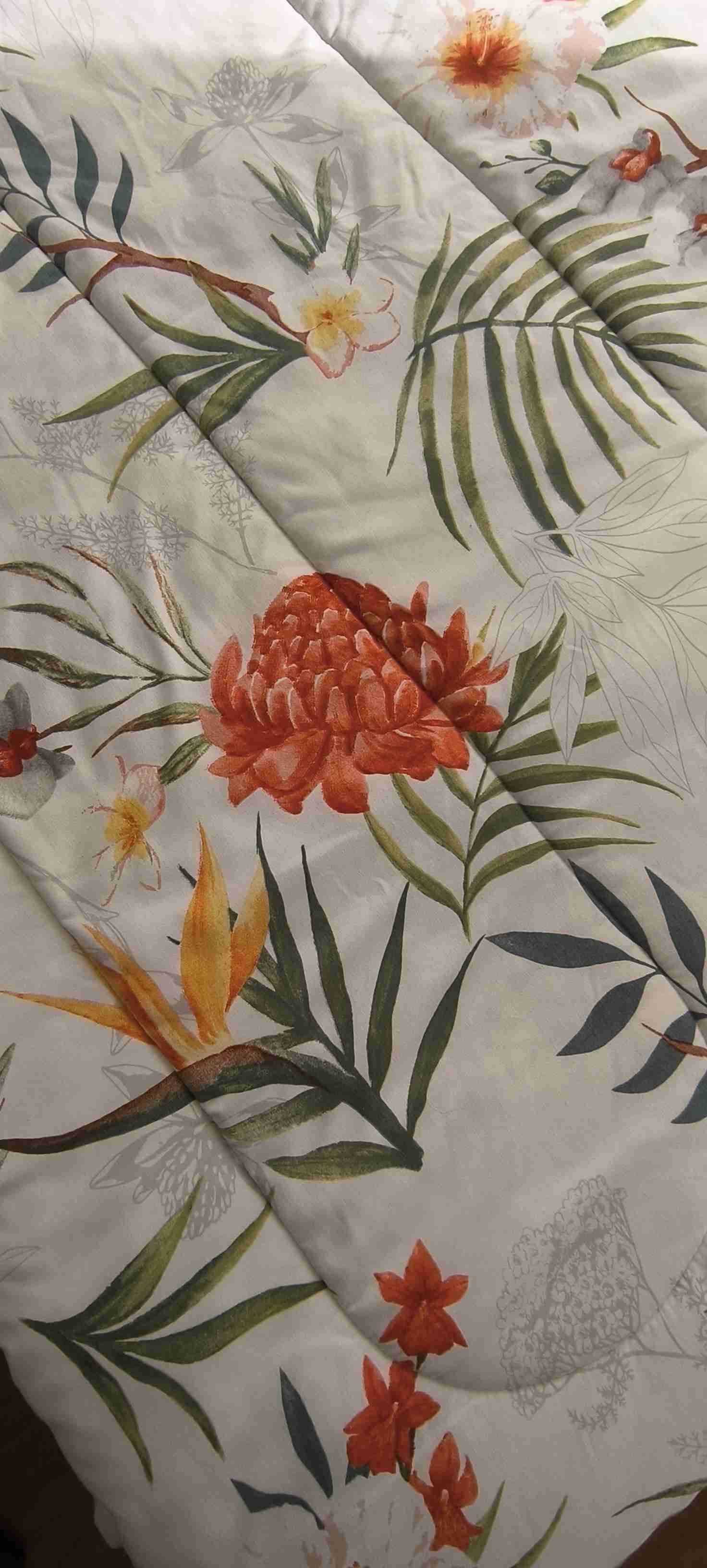 Plumon Cannon Home - miniatura 3