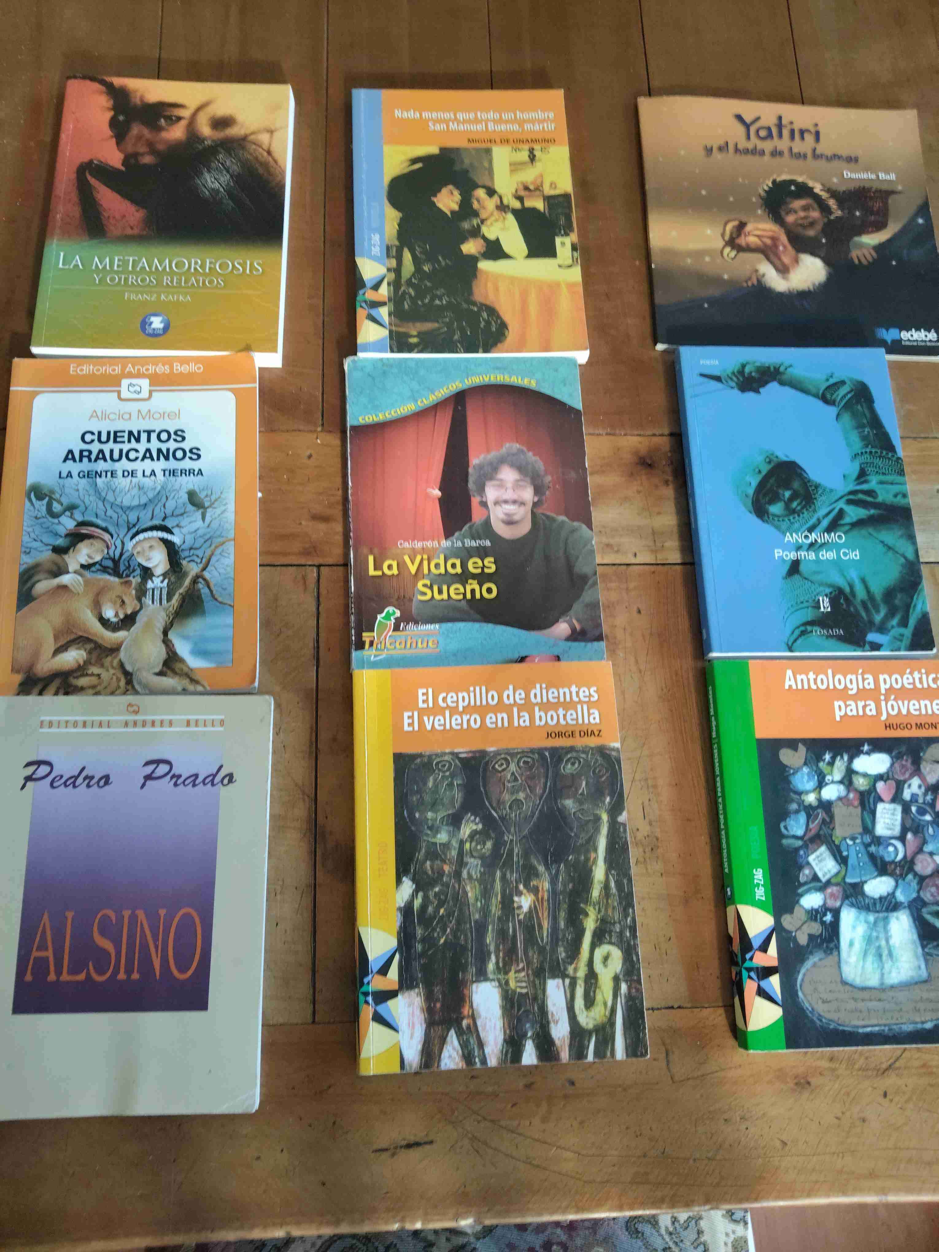 Lote de libros variados