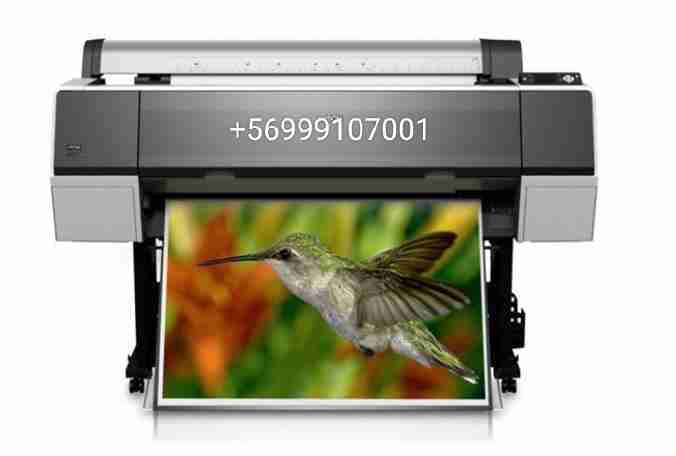 Impresora plotter profesional