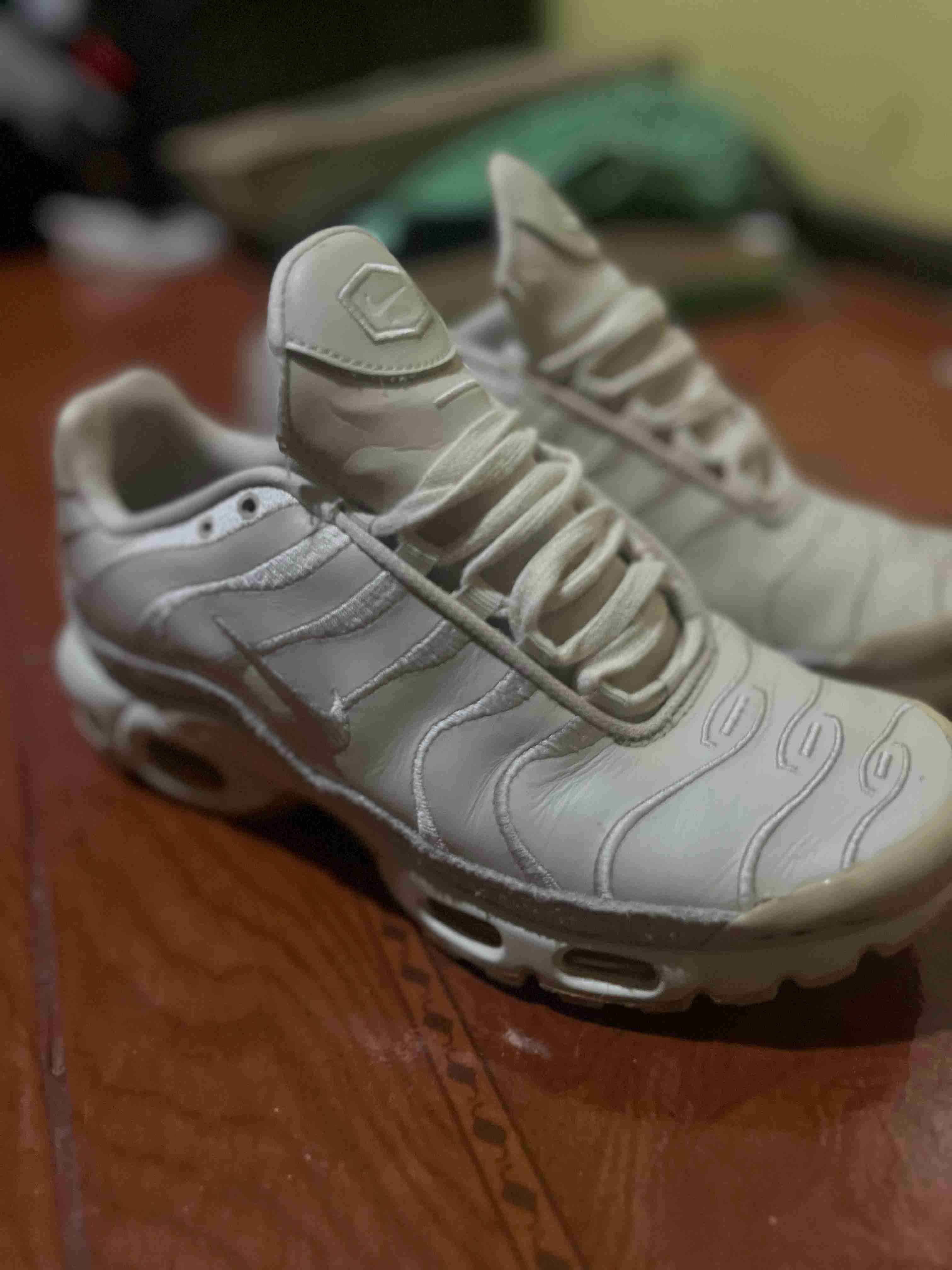 Zapatillas nike tn mujer