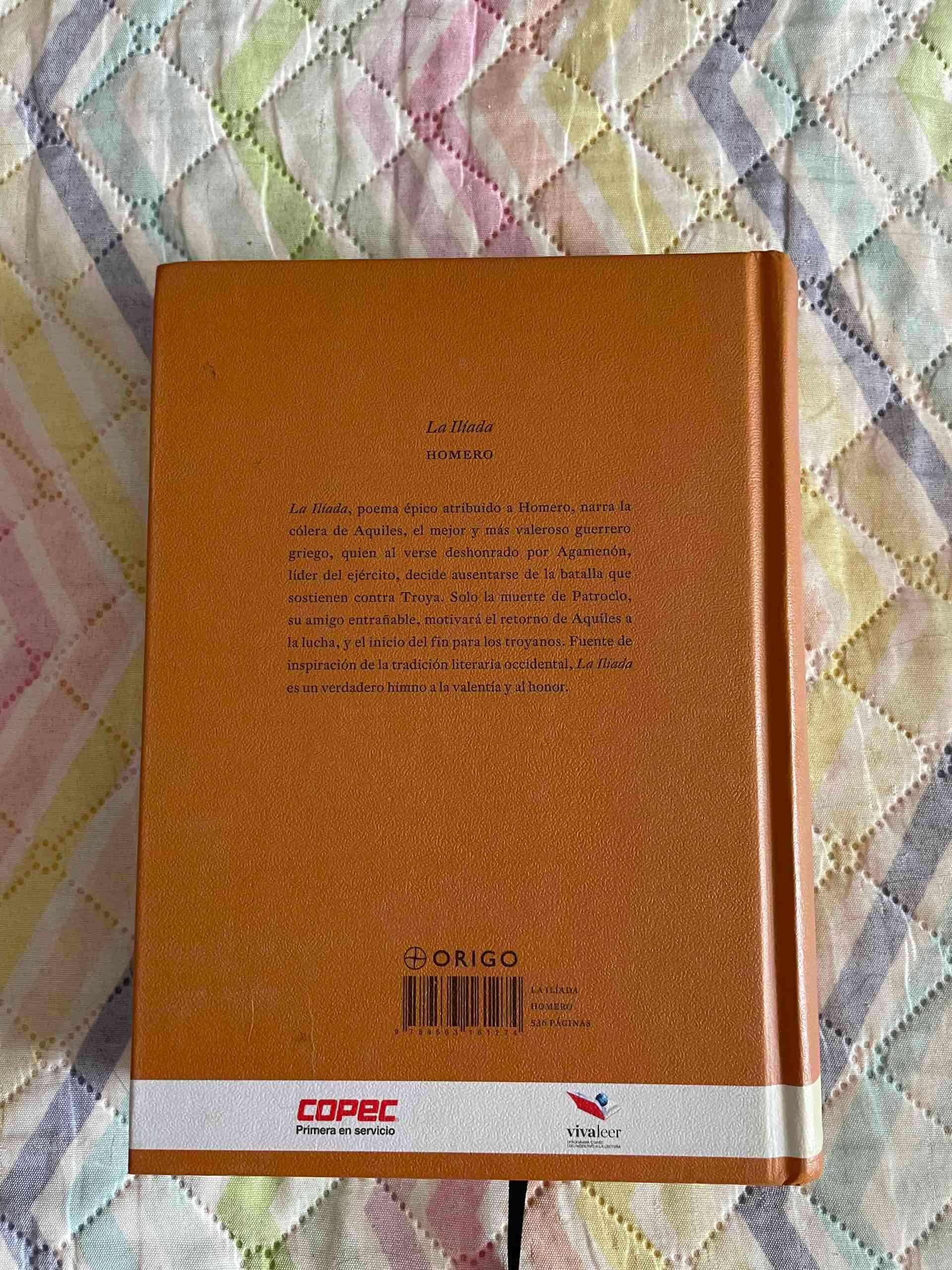 Libros La Ilíada y Don Quijote de la Mancha - miniatura 2