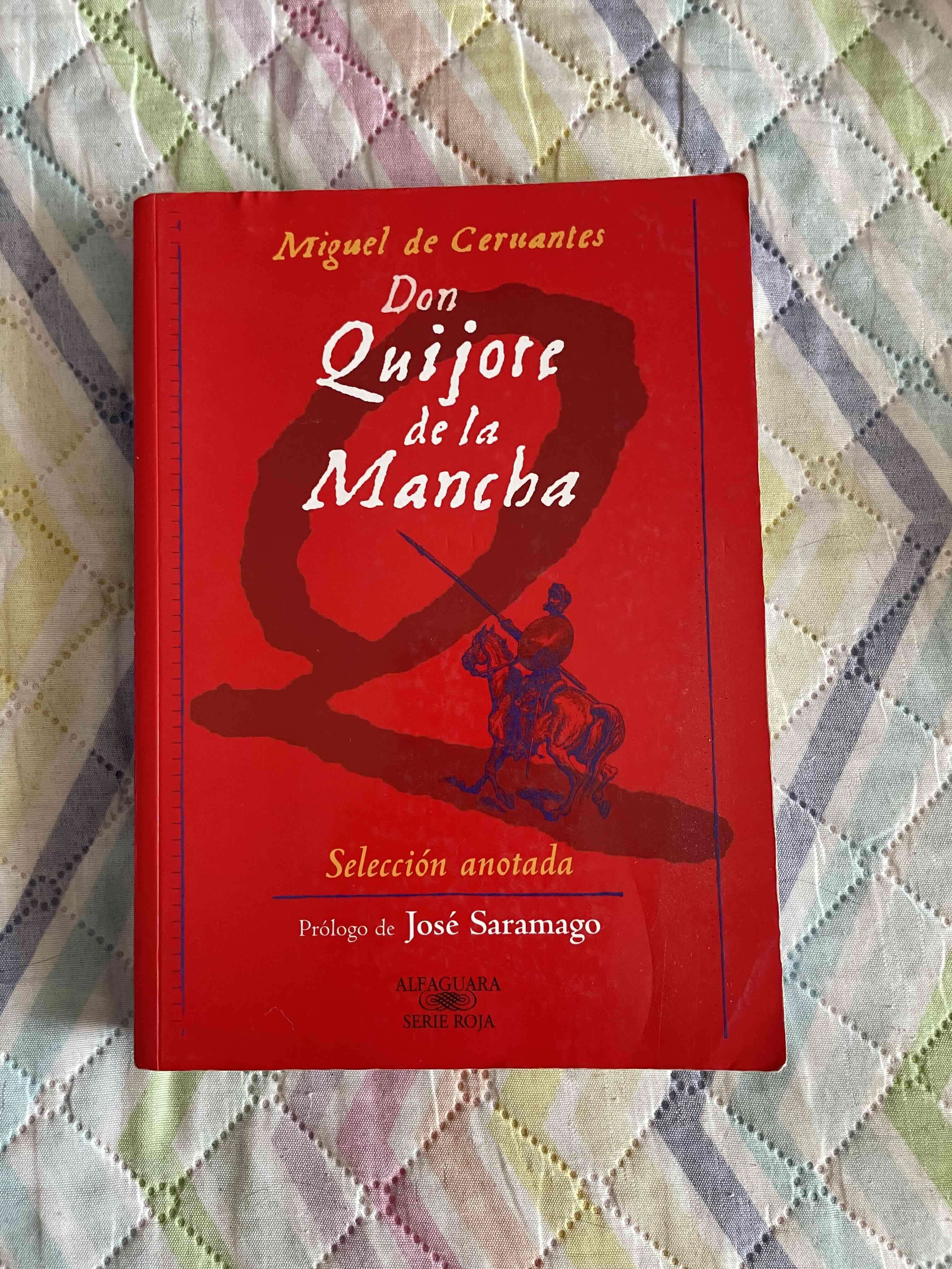 Libros La Ilíada y Don Quijote de la Mancha - miniatura 3