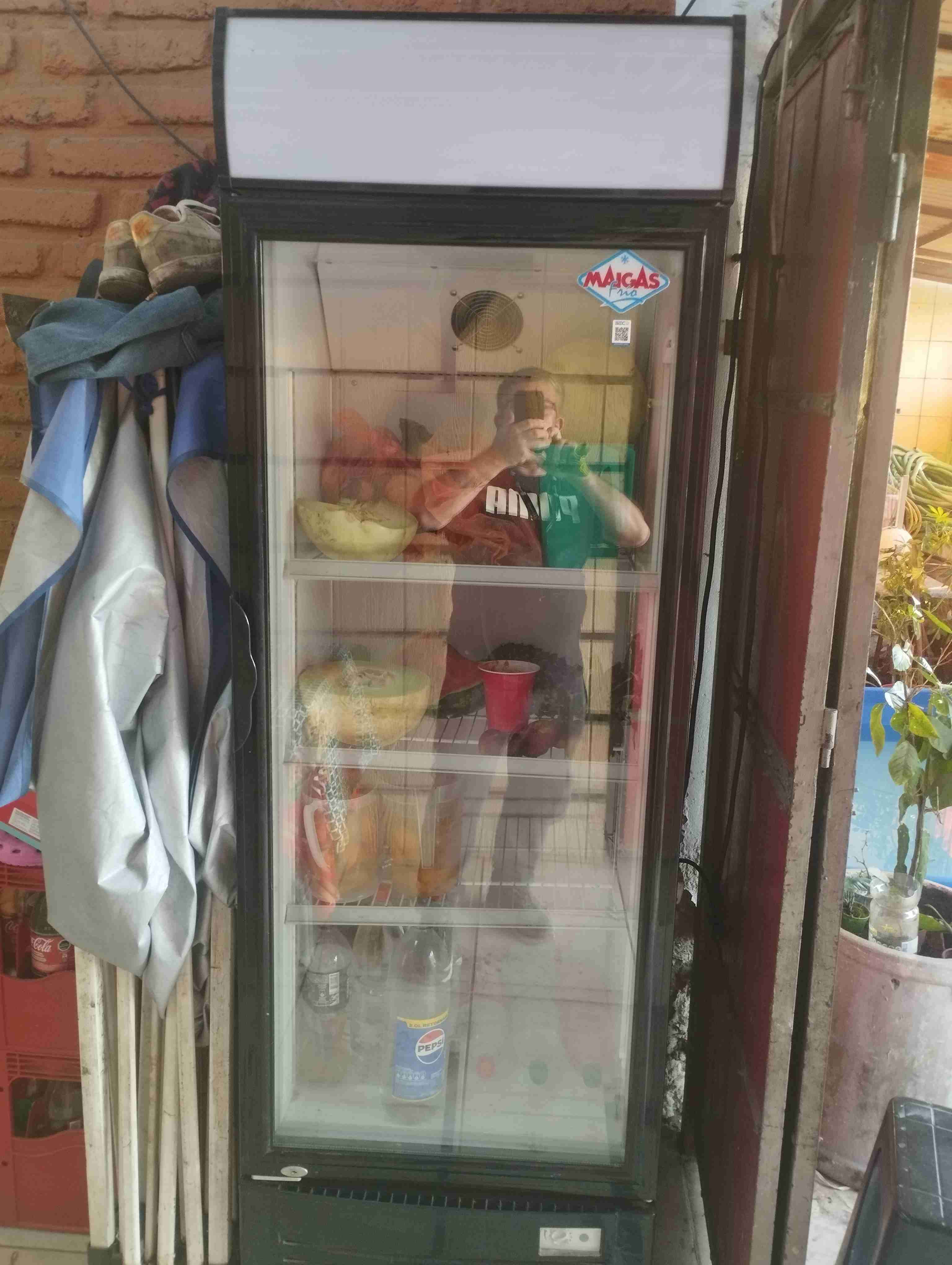 Refrigerador exhibidor con puerta de vidrio - 2
