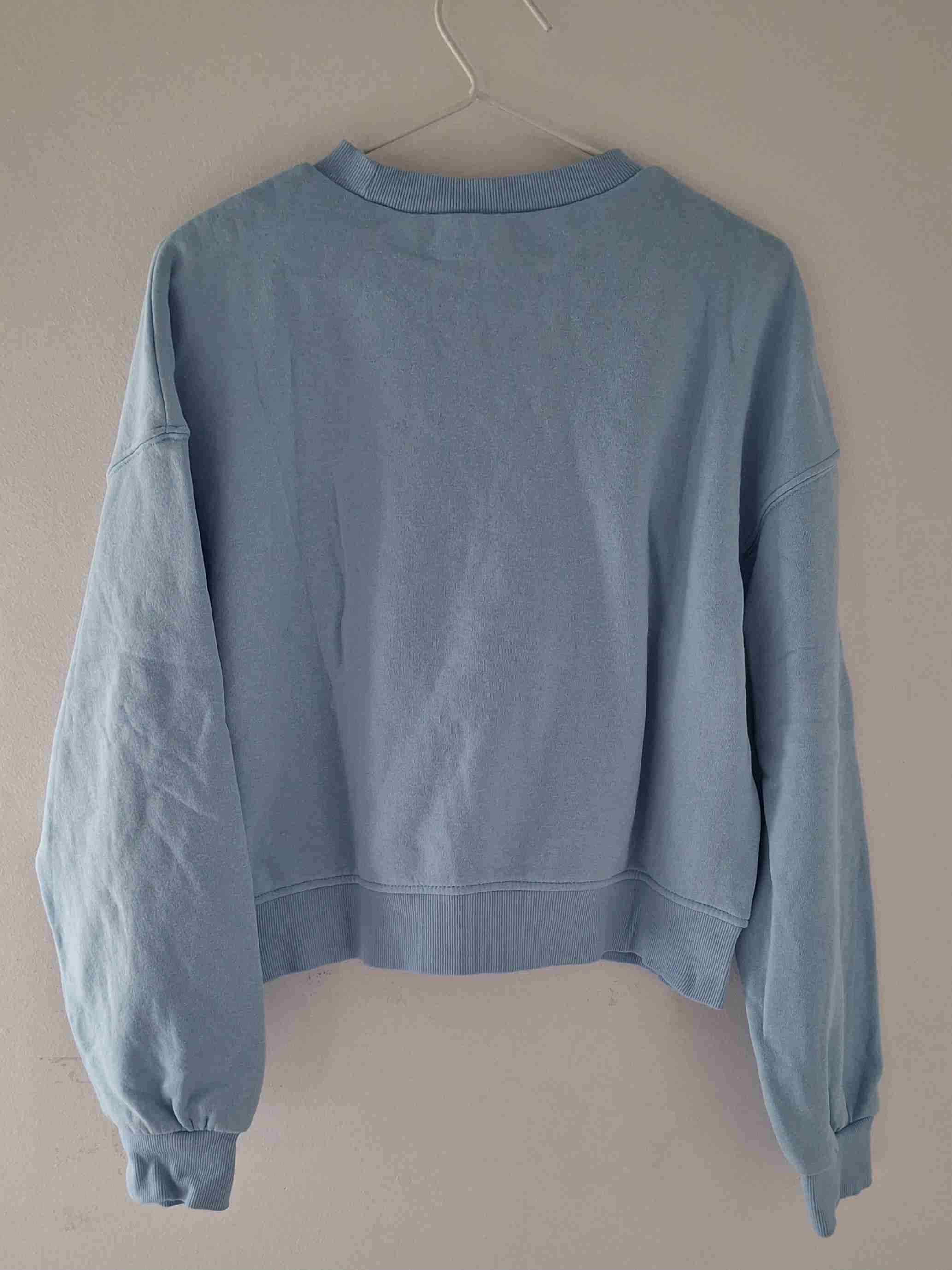 Polerón celeste - miniatura 2