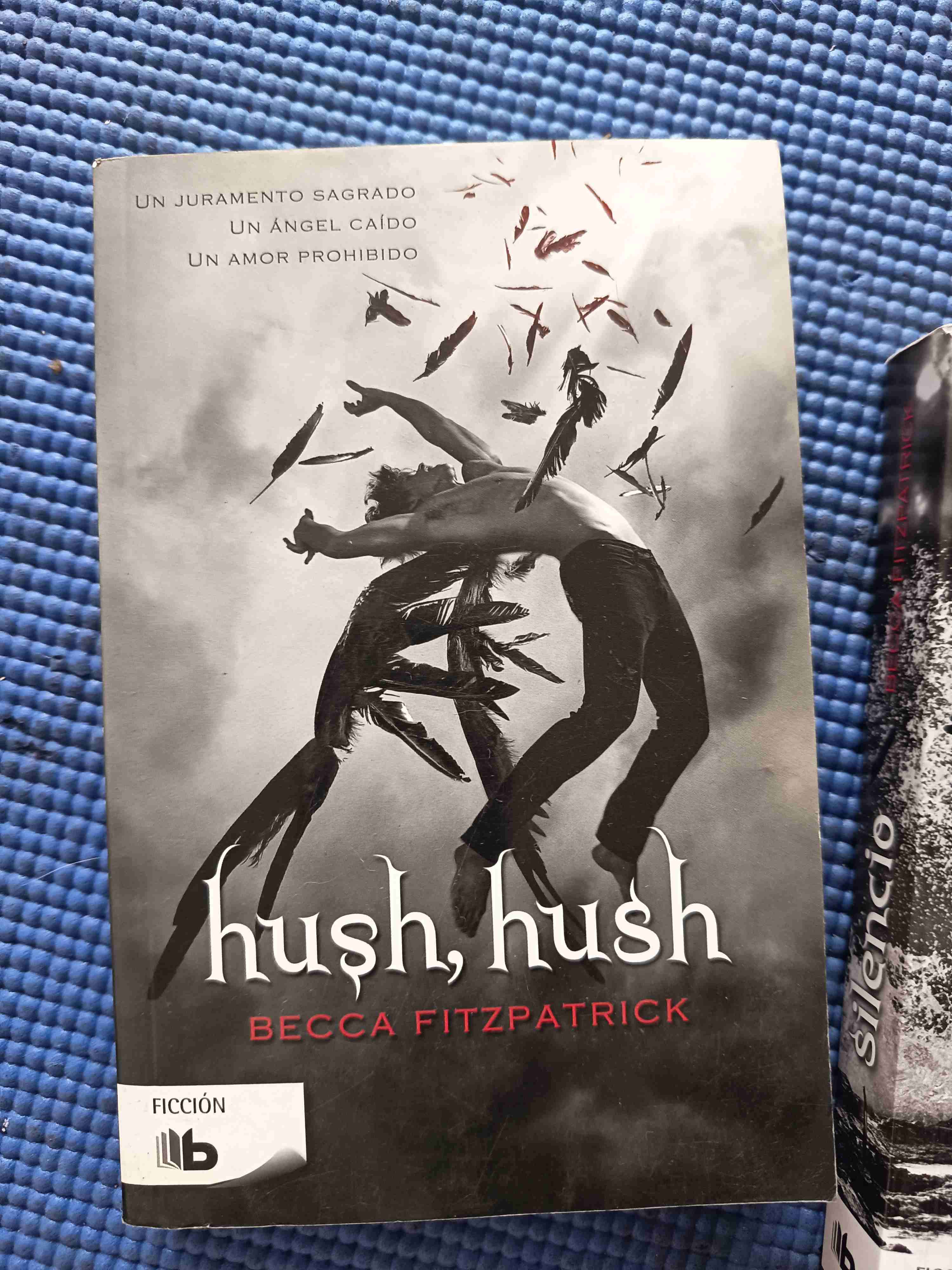 Saga completa Hush Hush - miniatura 2