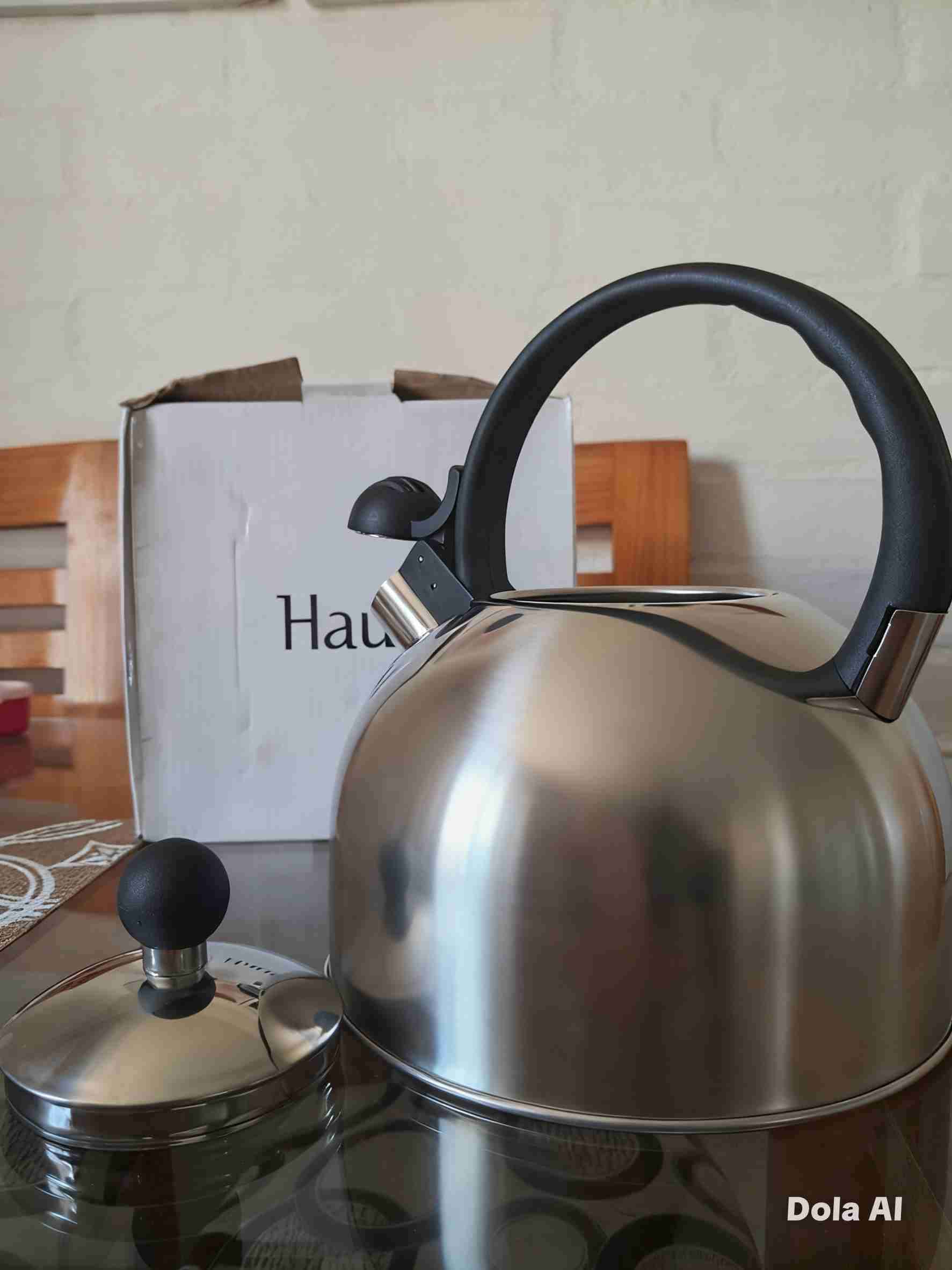 Tetera Haus 2.5 litros - miniatura 2