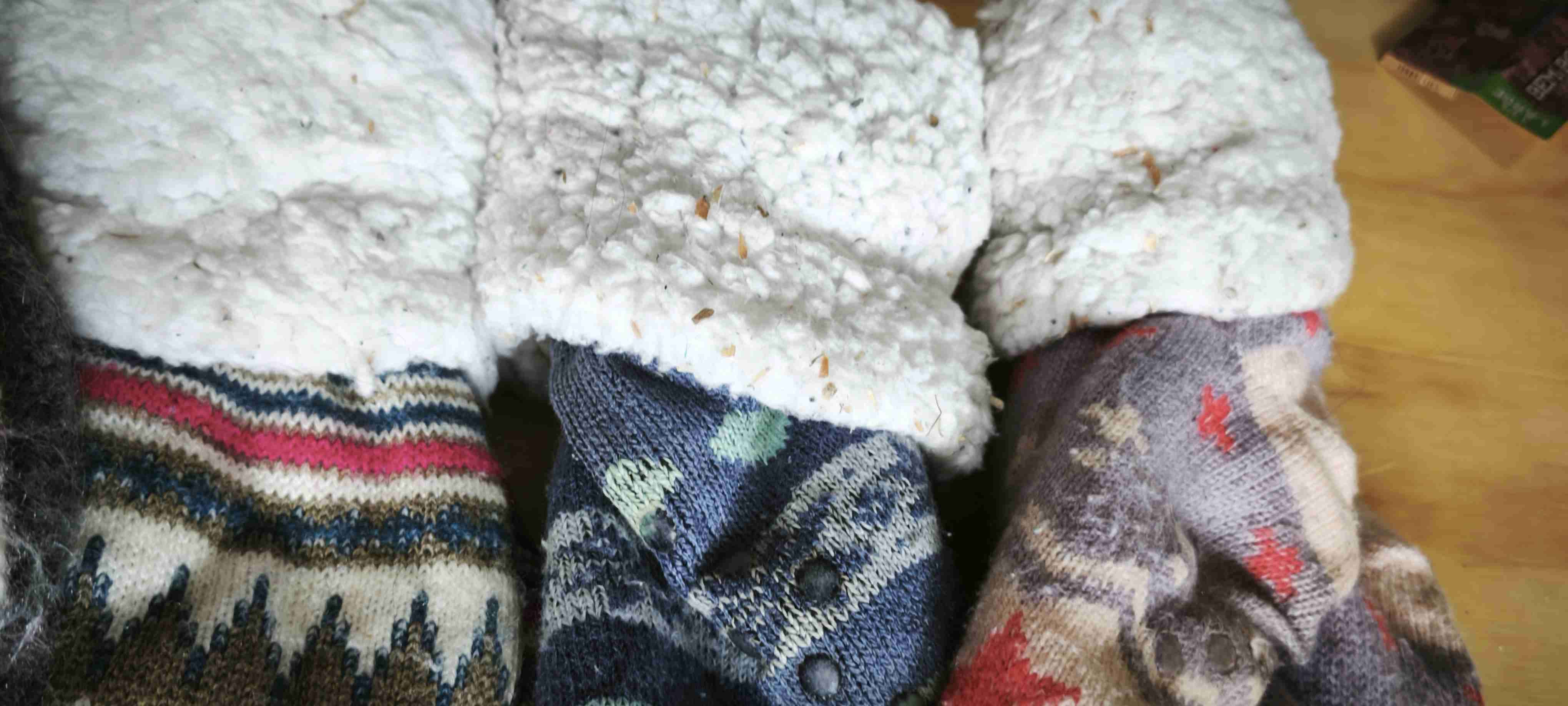 Lote de invierno - miniatura 6